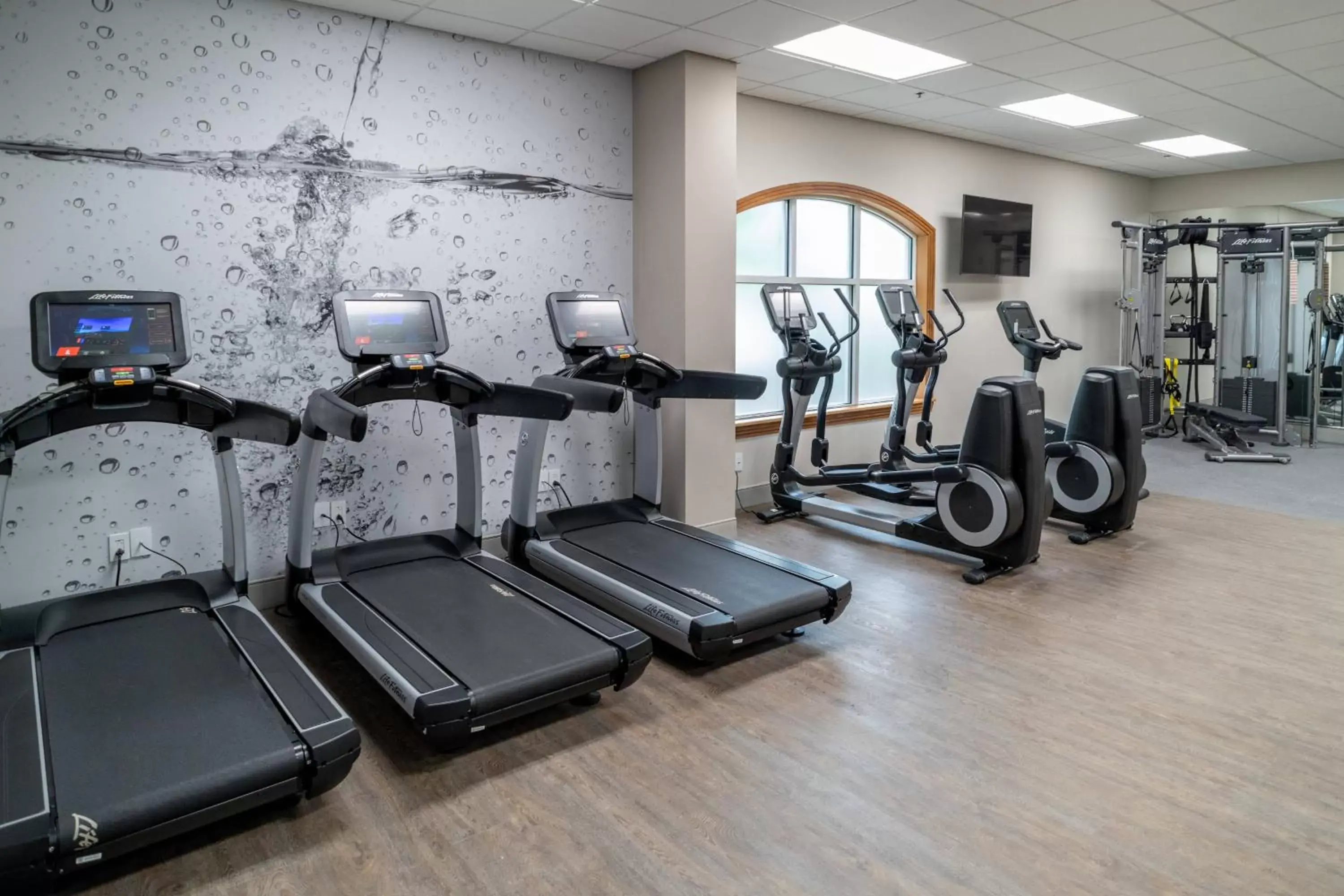 Fitness centre/facilities, Fitness Center/Facilities in Delta Hotels by Marriott Huntington Mall