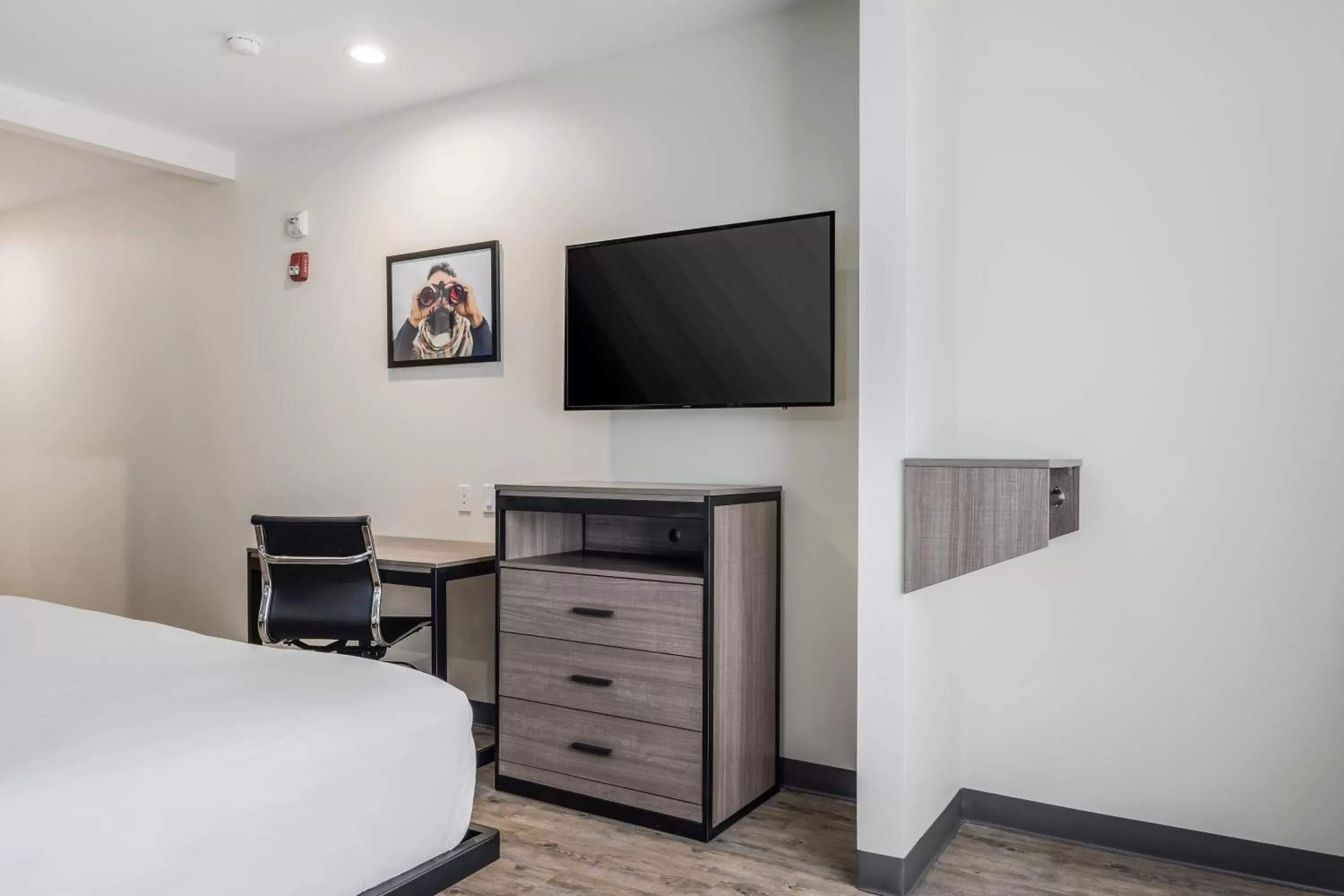 Bedroom, TV/Entertainment Center in Red Lion Inn & Suites Katy