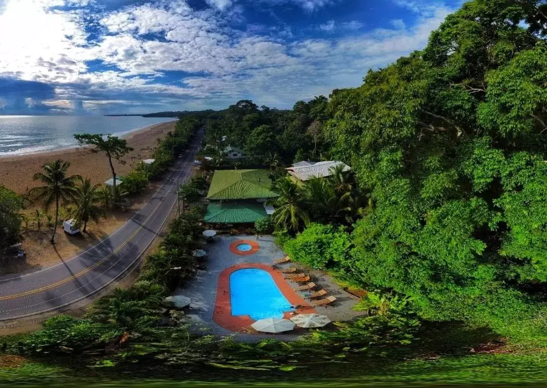 Pool View in Hotel La Isla Inn