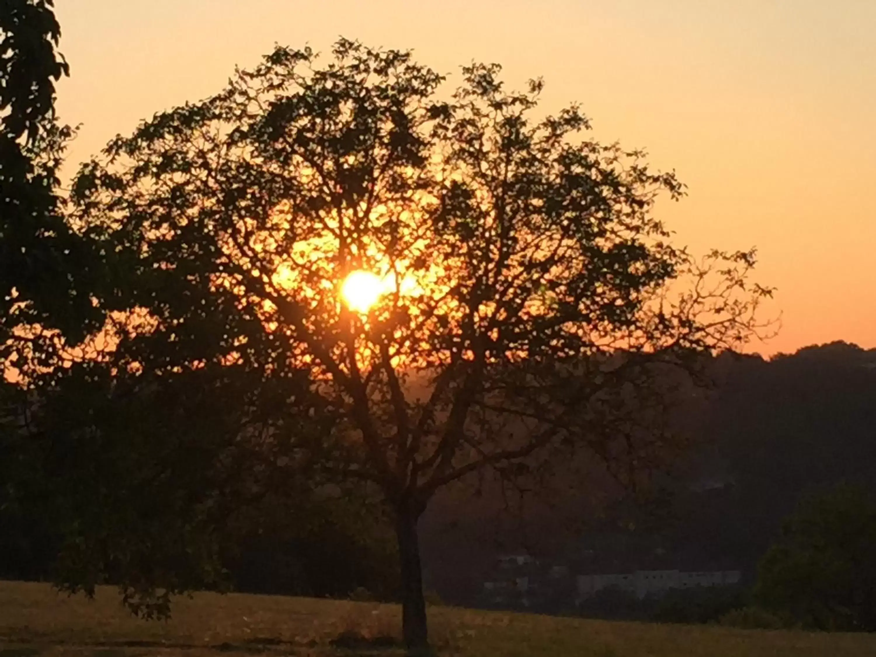 Natural landscape, Sunrise/Sunset in Domaine de Lascaux