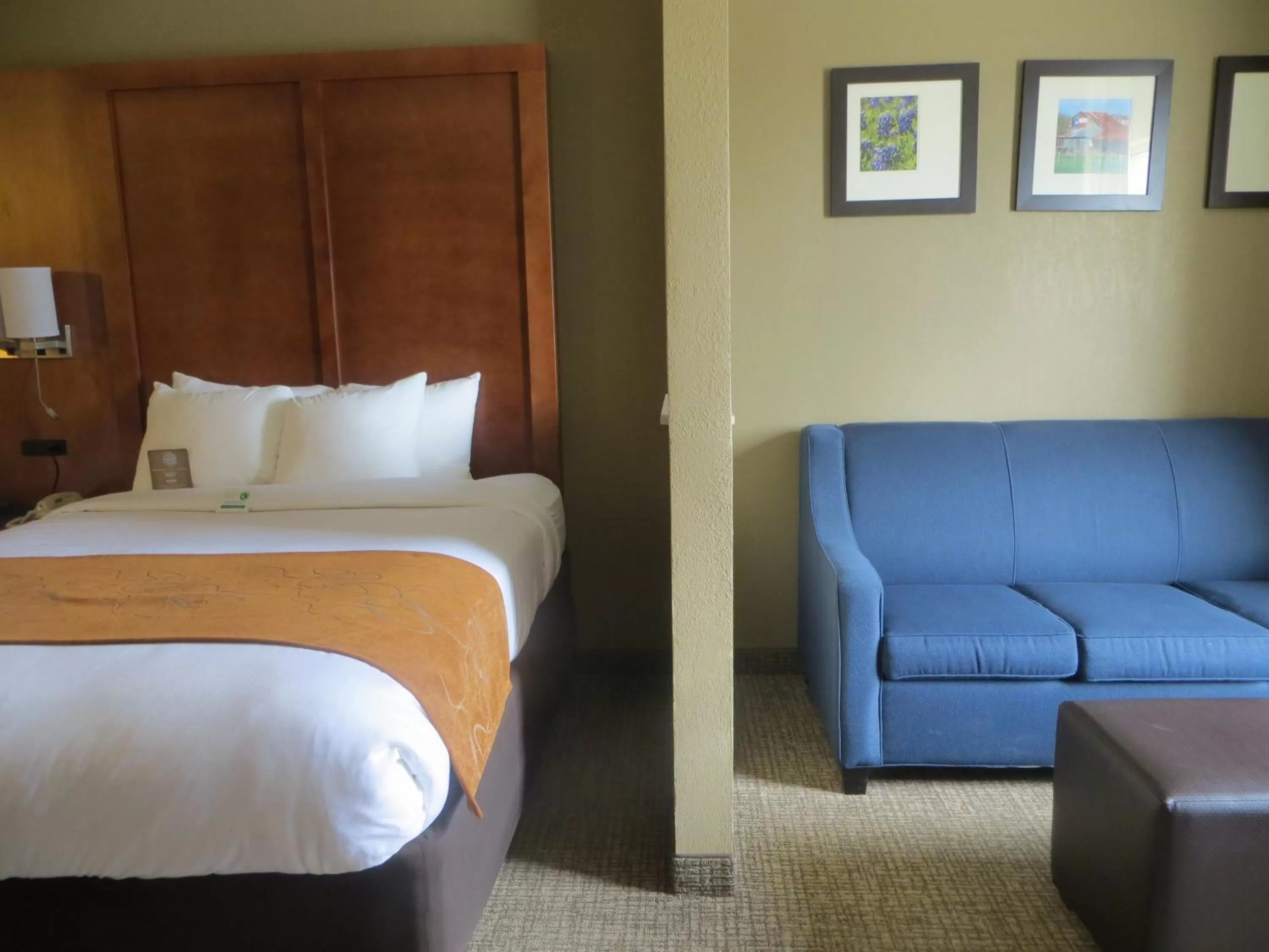 King Suite with Sofa Bed - 1st floor in Comfort Suites New Braunfels - San Antonio Area