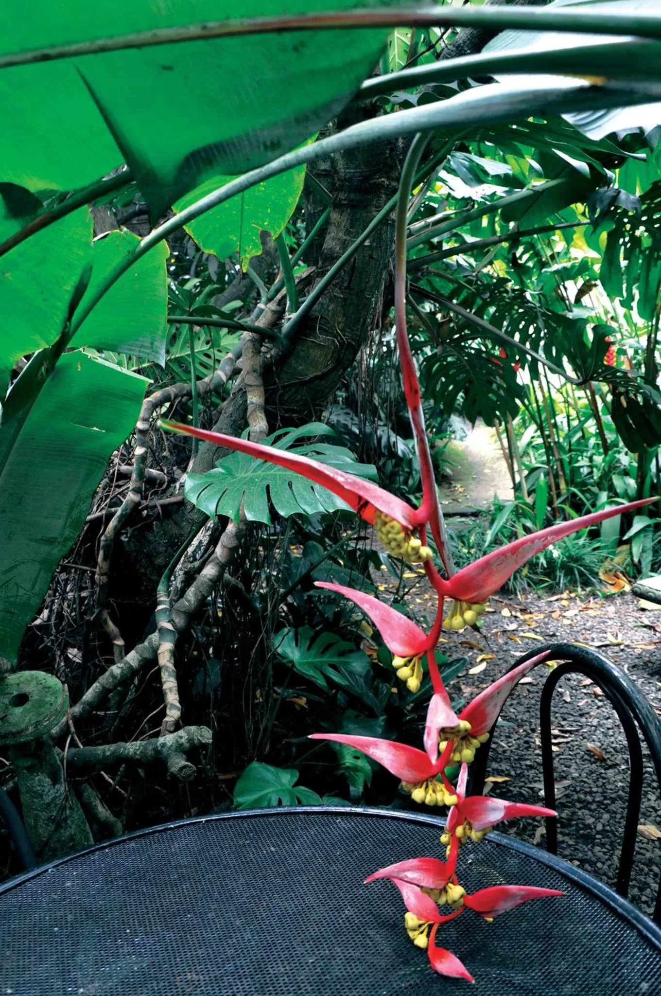 Garden in Hotel Aranjuez