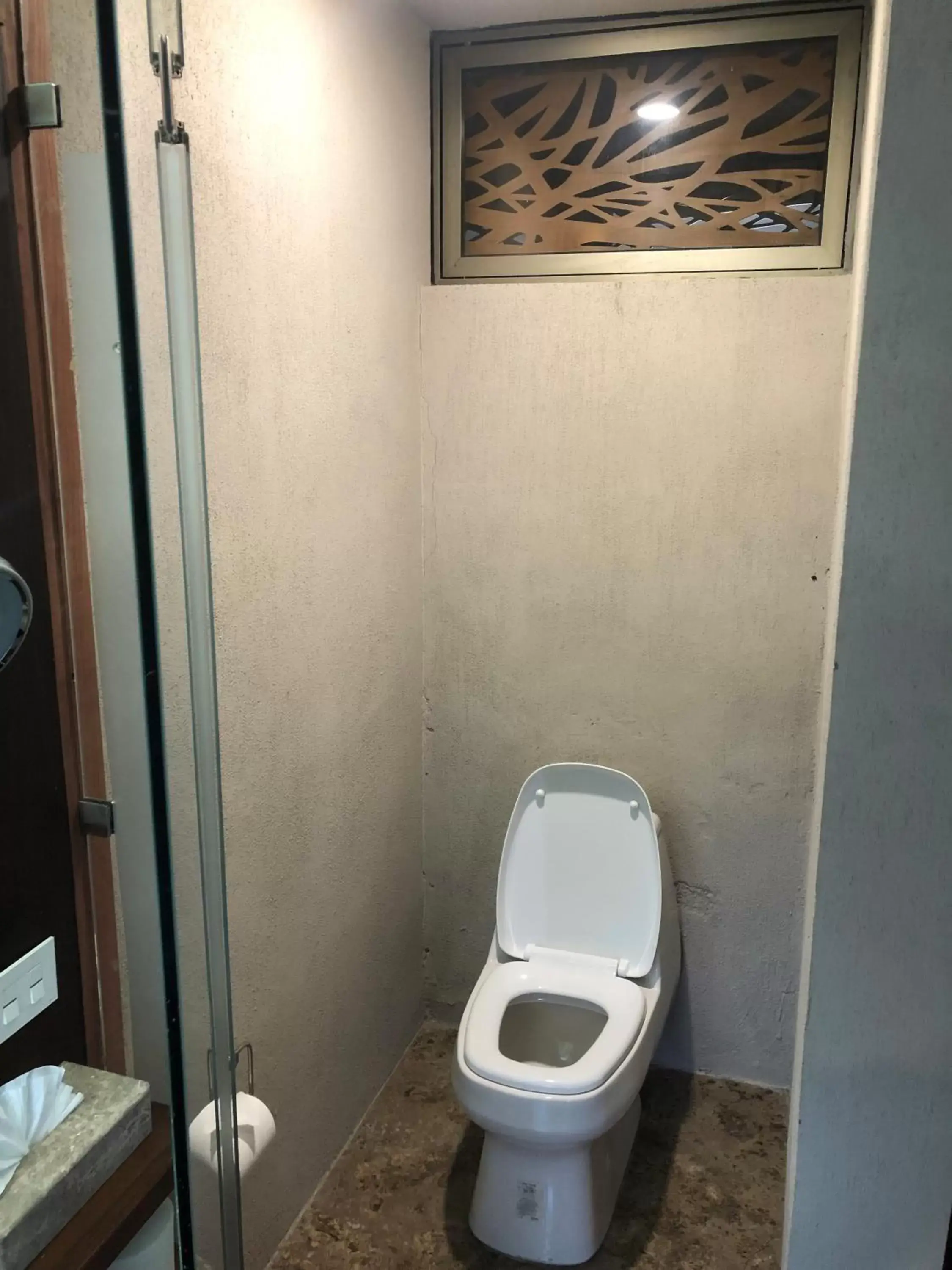Toilet, Bathroom in Gamma Monterrey Rincon de Santiago