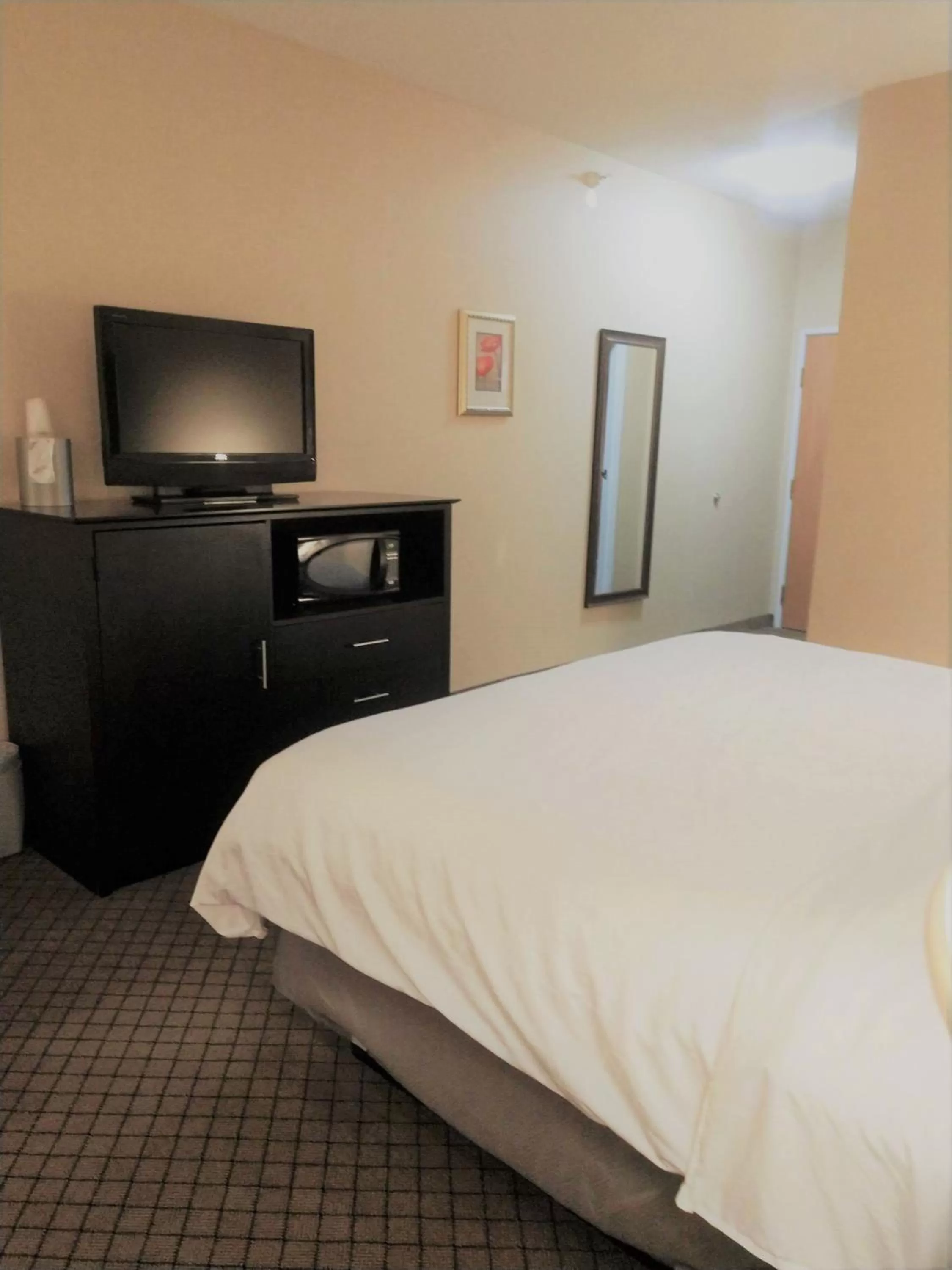 King Room with Roll In Shower - Disability Access/Non-Smoking in Holiday Inn Express Plymouth, an IHG Hotel