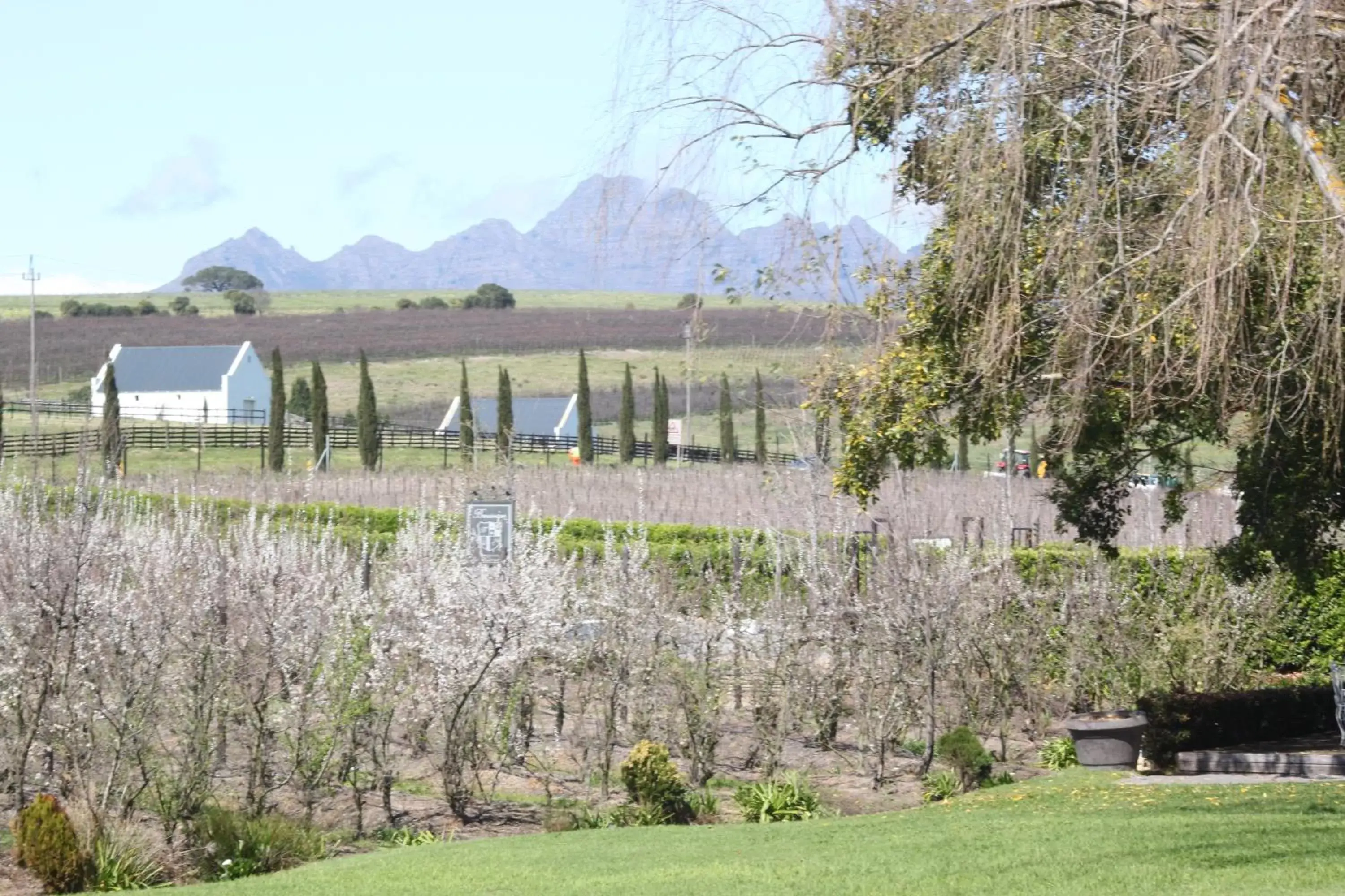 Garden in Brenaissance Wine & Stud Estate