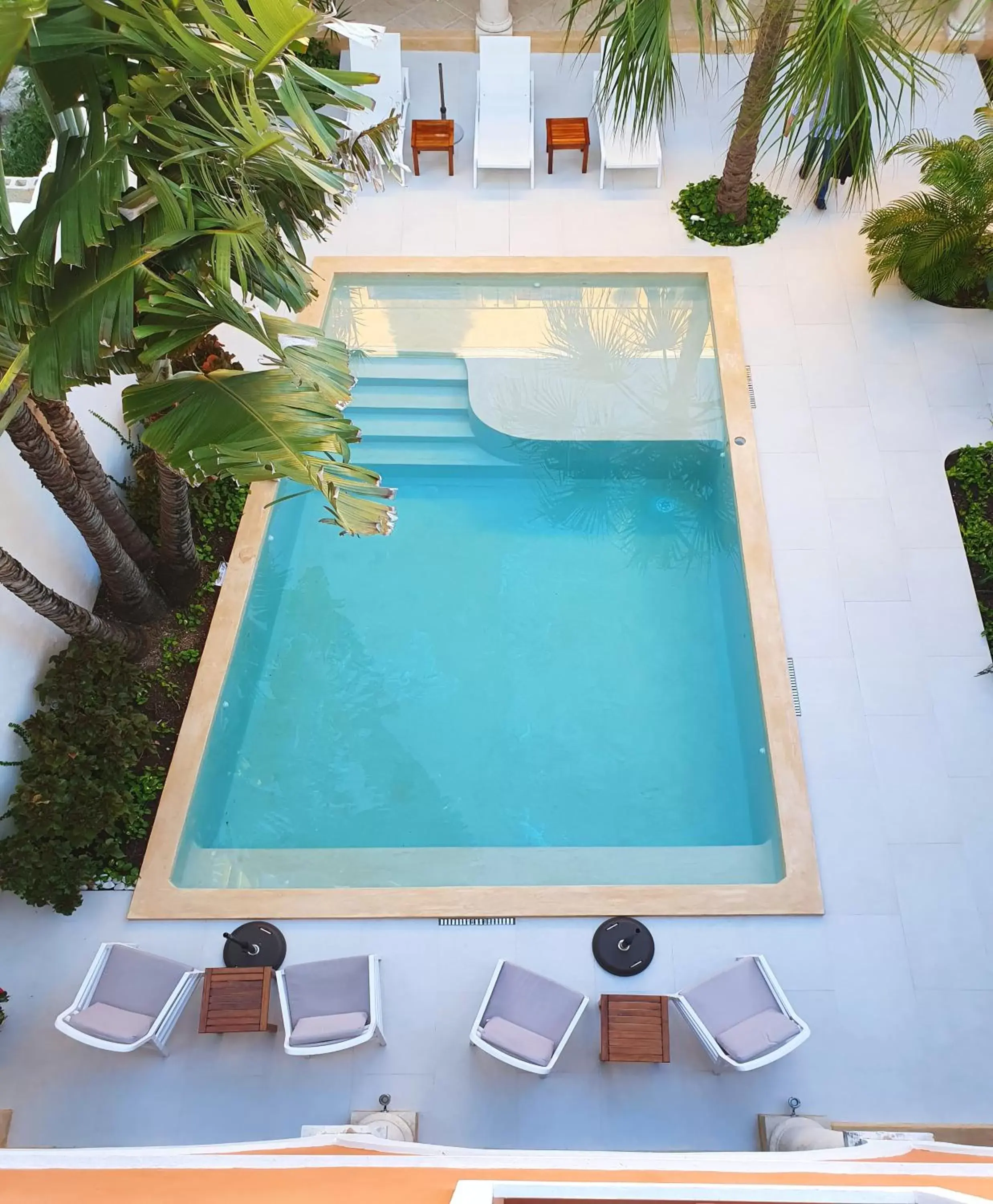 Swimming pool, Pool View in Merida Santiago Hotel Boutique