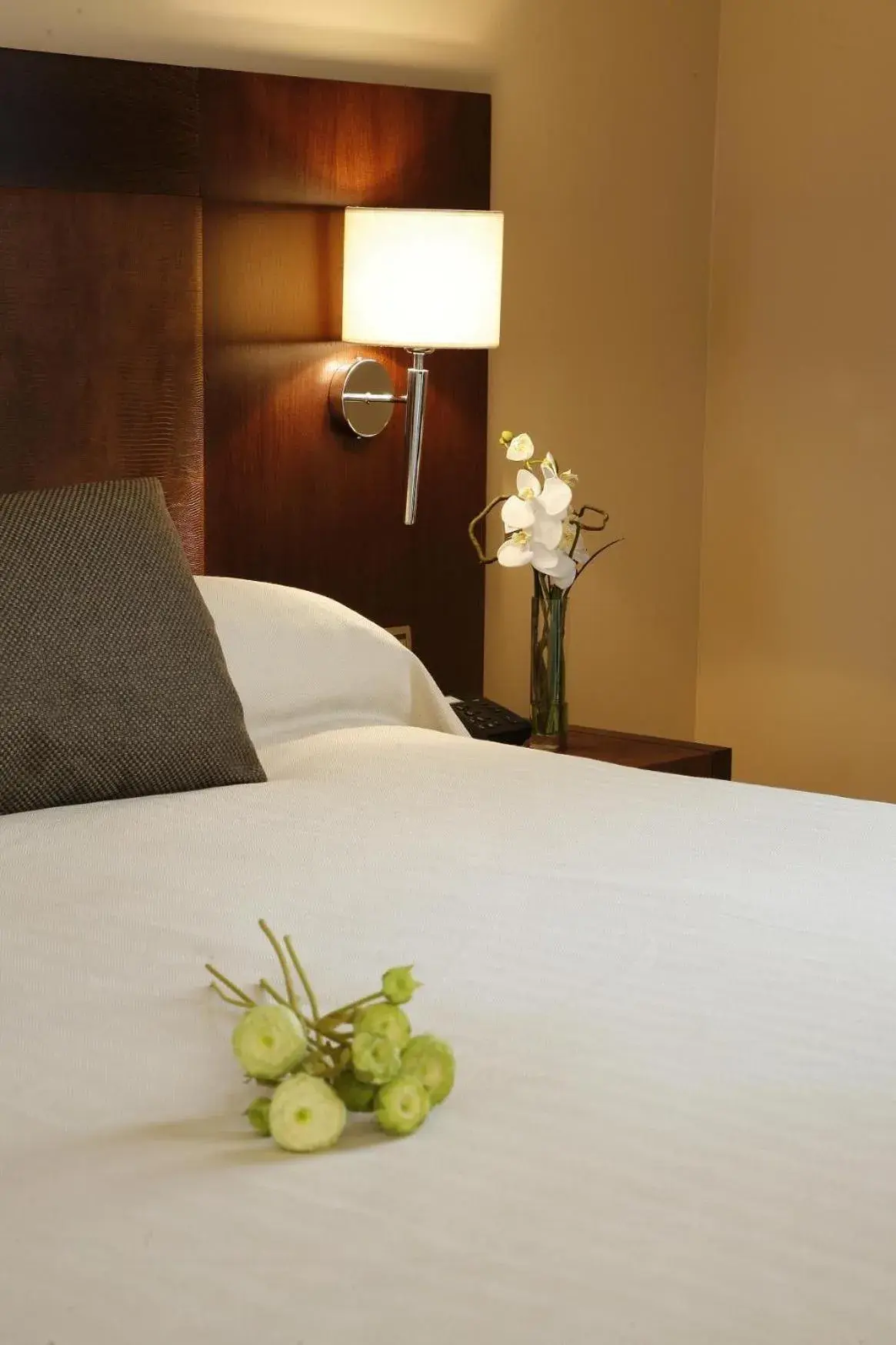 Bed in Hotel Villa de Aranda