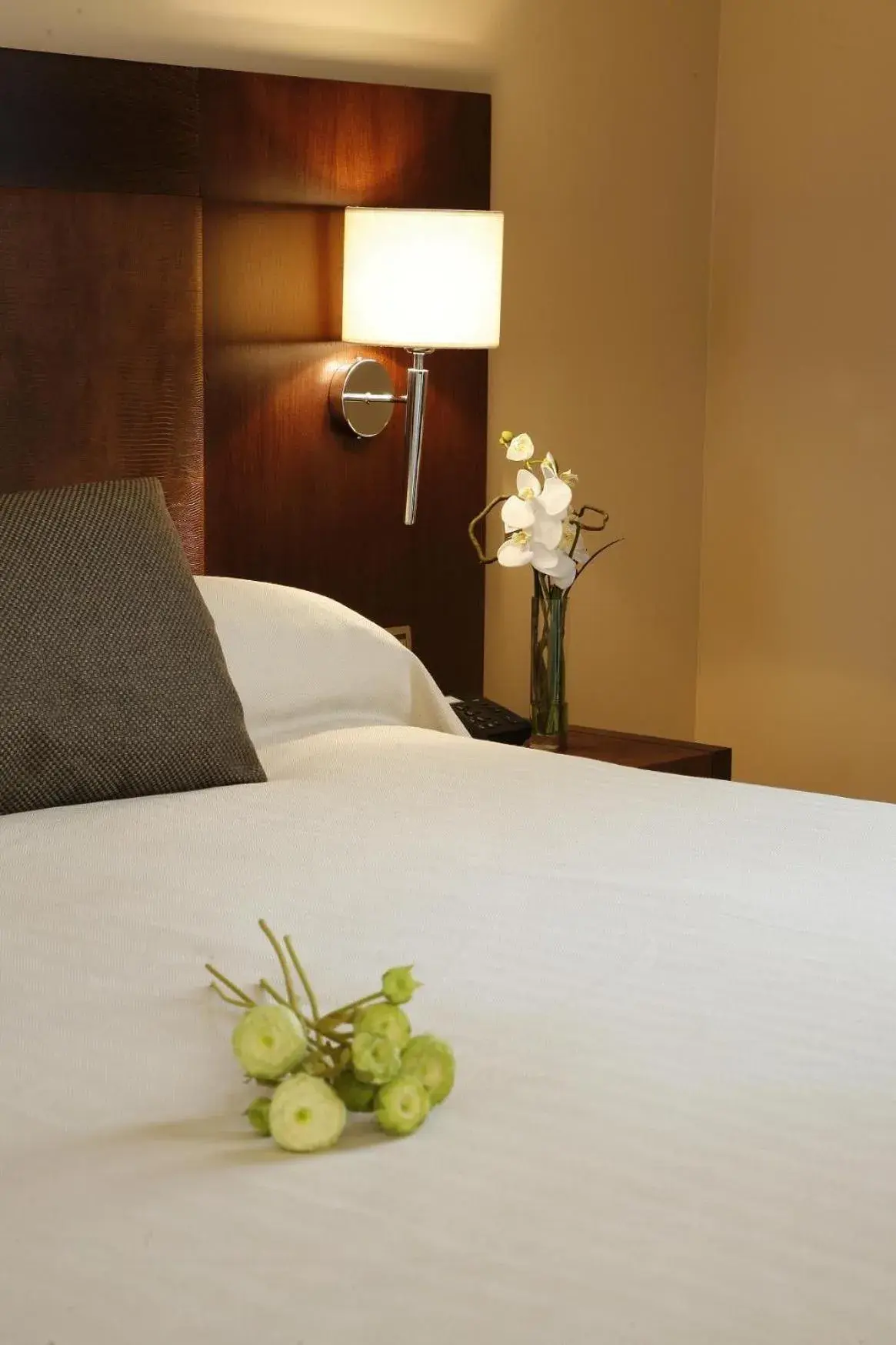 Single Room in Hotel Villa de Aranda Single Room in Hotel Villa de Aranda