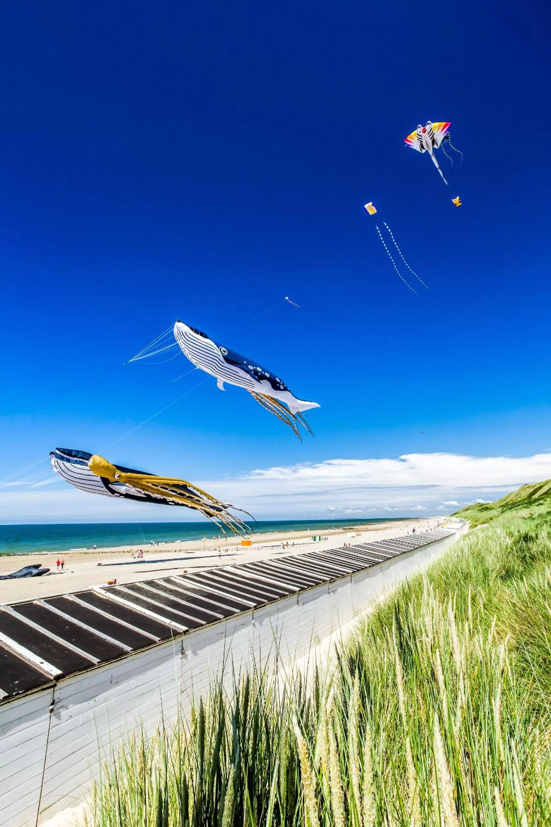Beach in Strandhotel Domburg