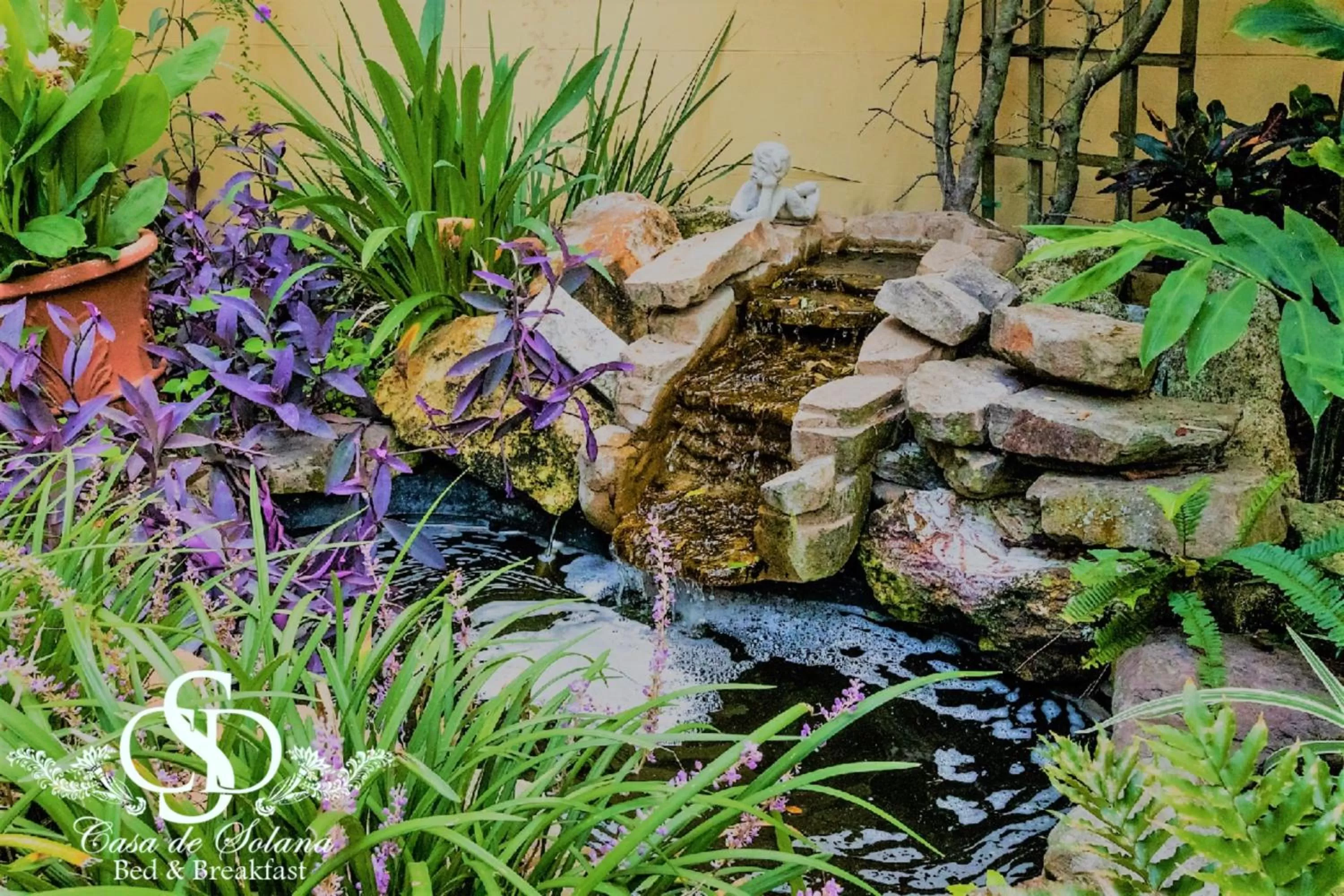 Garden in Casa De Solana & Victorian House Bed and Breakfast