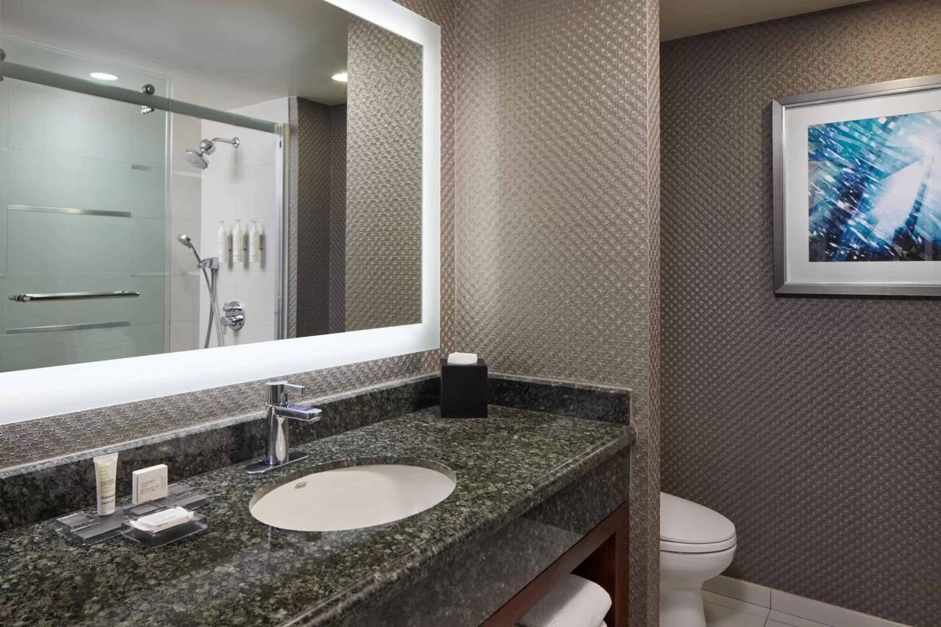 Bathroom in Crystal Gateway Marriott