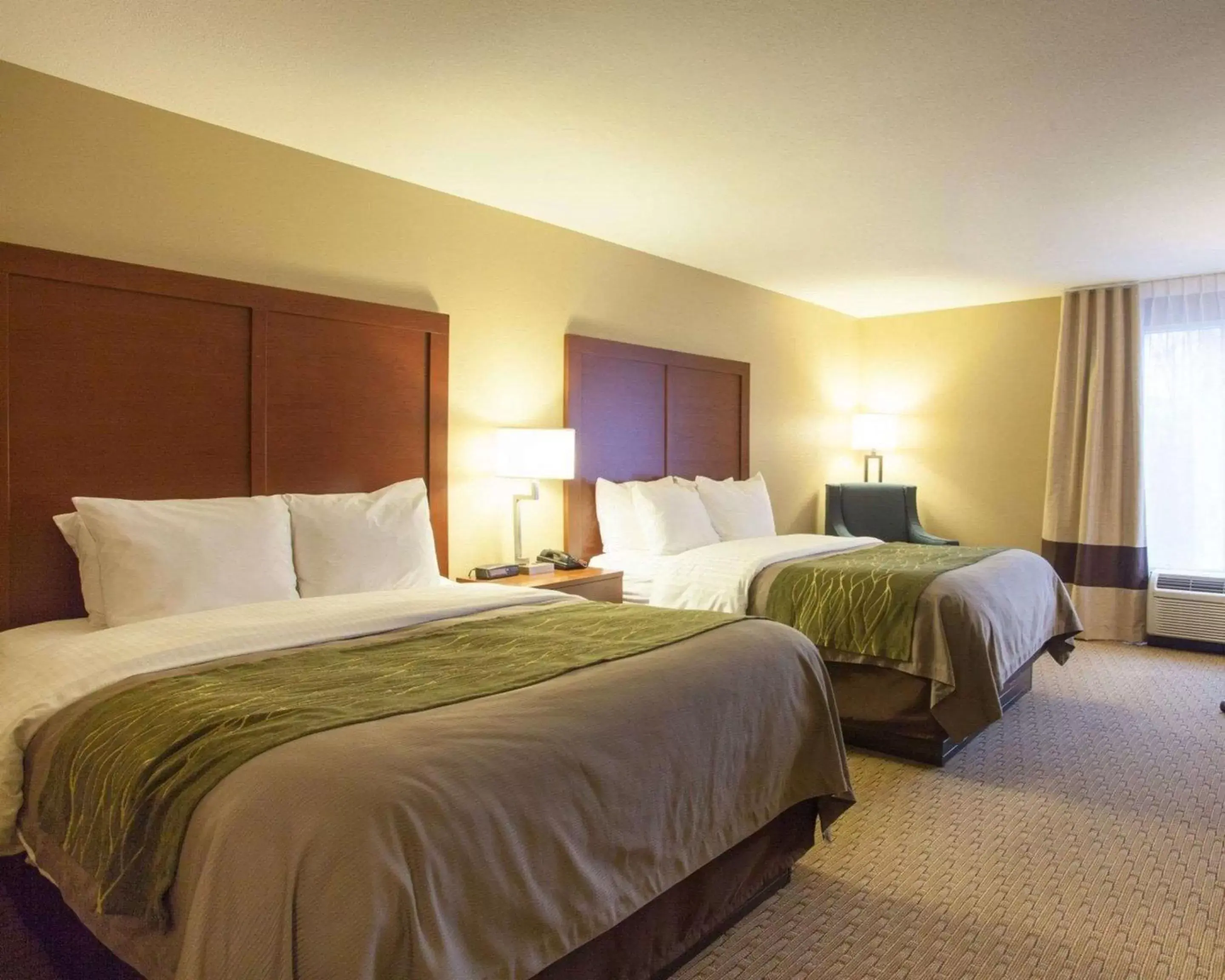 Photo of the whole room, Bed in Quality Inn & Suites I-40 East
