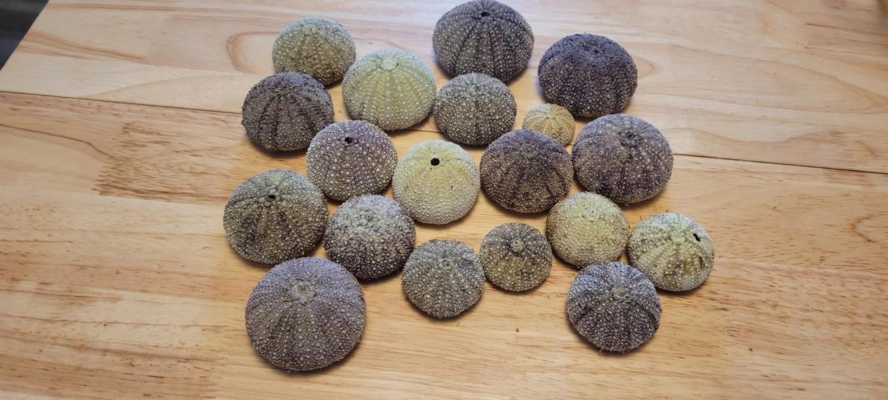 Natural landscape, Food in The Harbourside Inn & Cafe