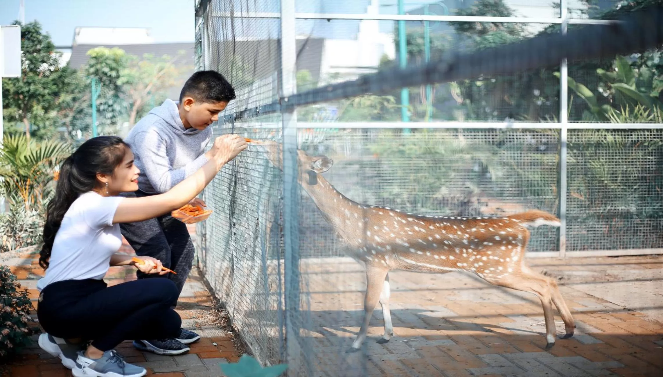 Animals in Grand Sunshine Resort & Convention