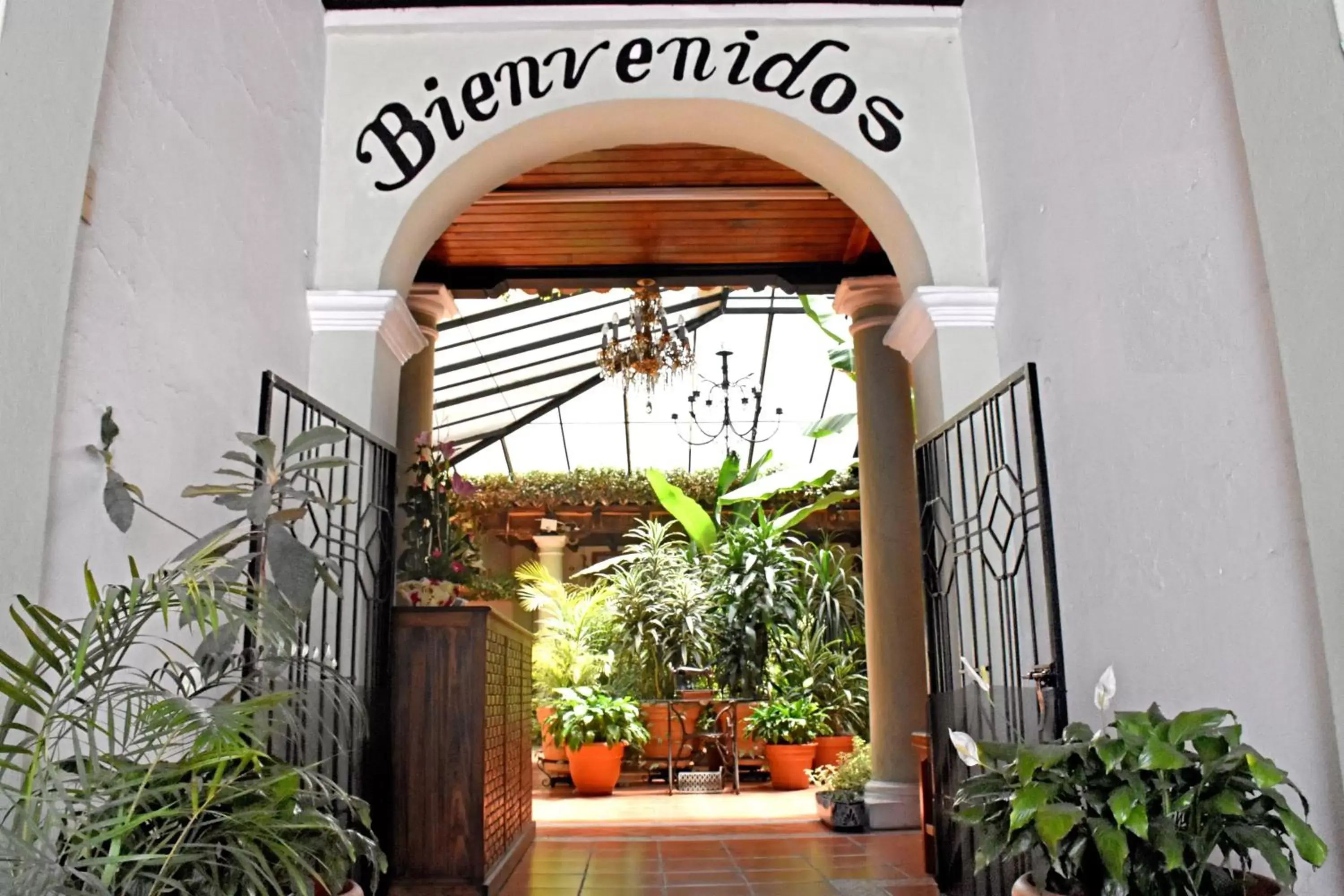Lobby or reception in Hotel San Luis