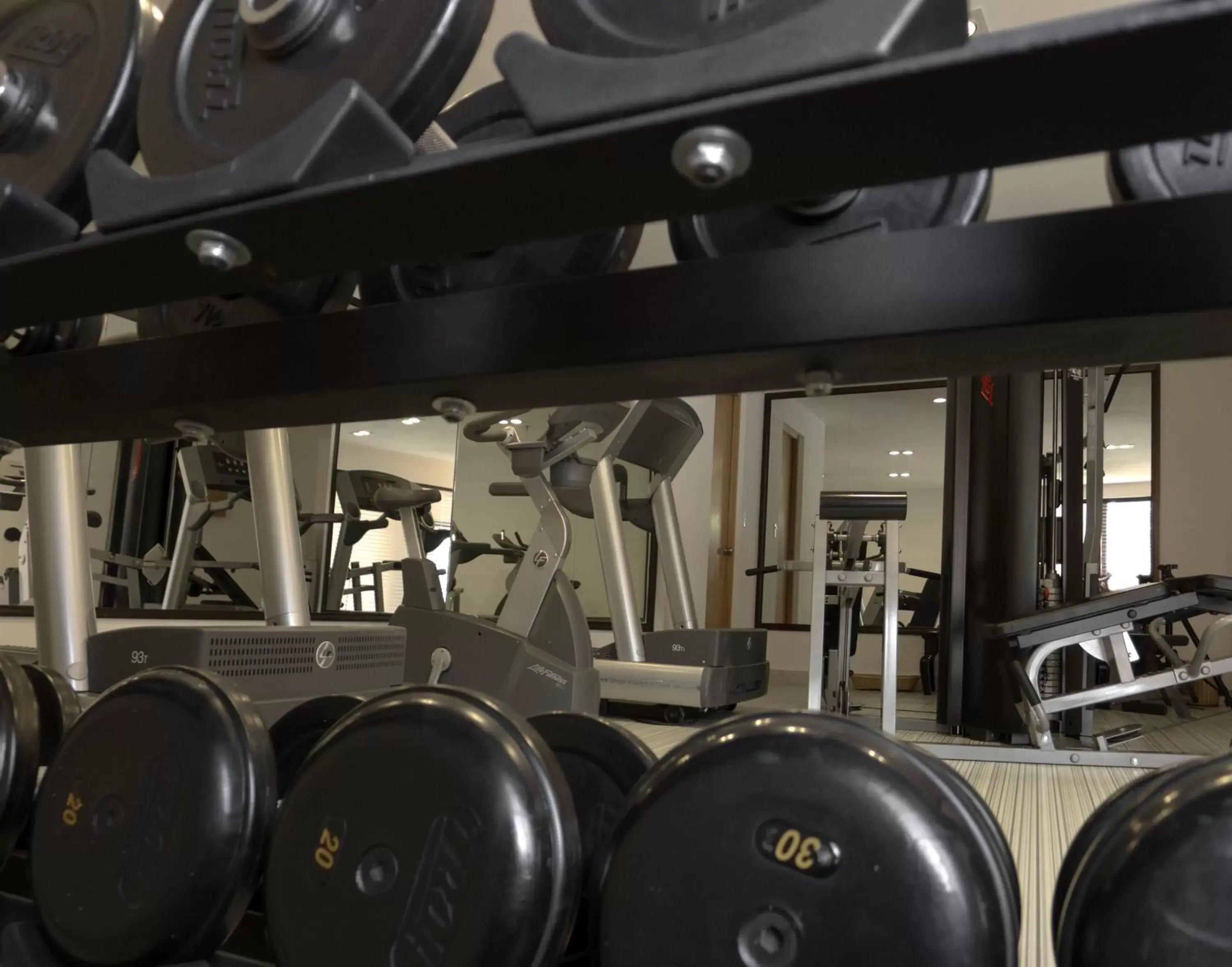 Fitness centre/facilities in Fiesta Inn Leon Fitness centre/facilities in Fiesta Inn Leon
