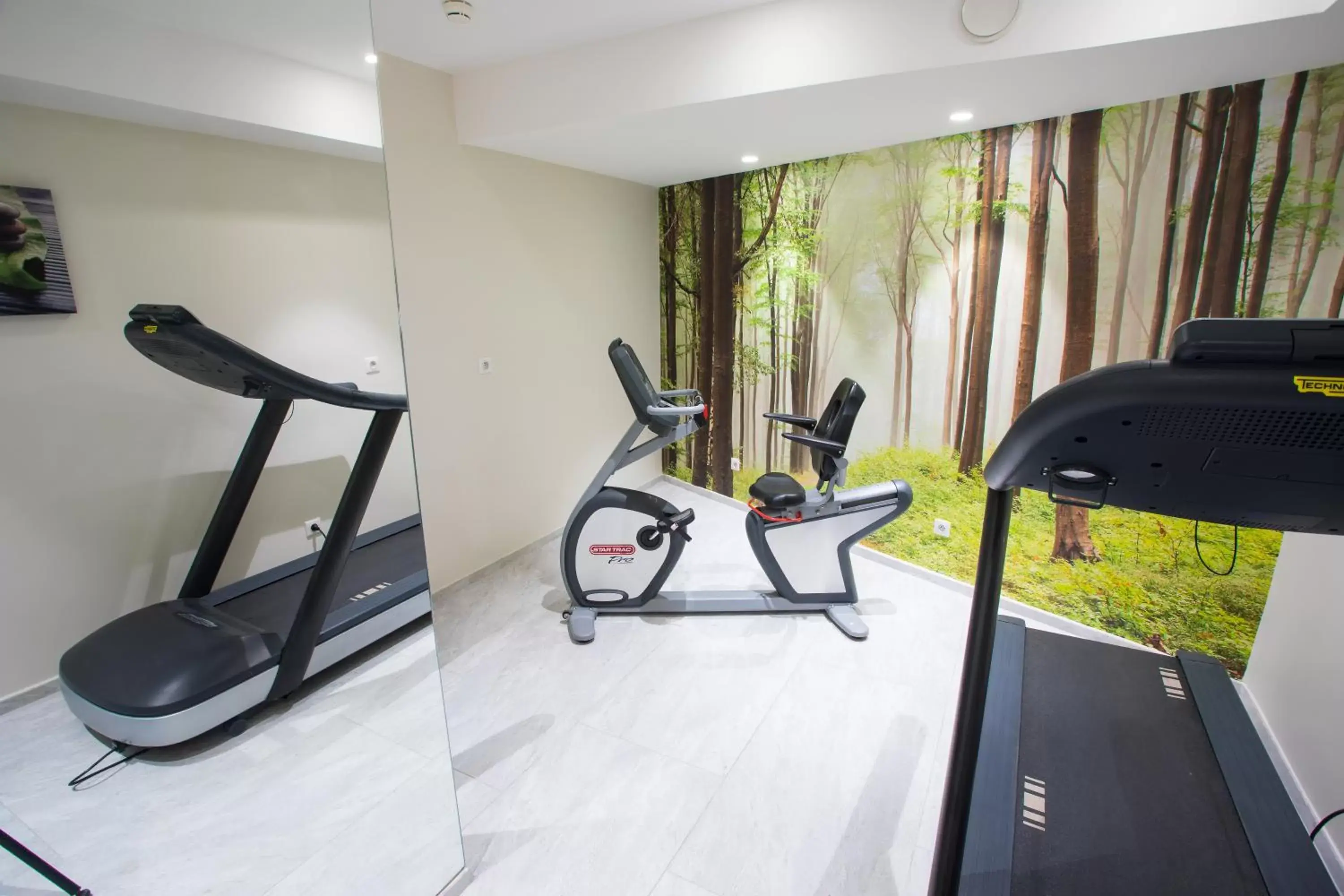 Fitness centre/facilities in Eden Hotel & Spa Fitness centre/facilities in Eden Hotel & Spa