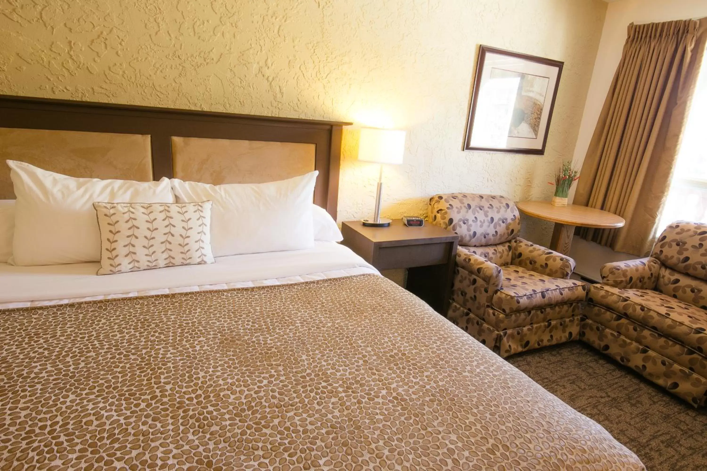 Photo of the whole room, Bed in Crystal Springs Motel