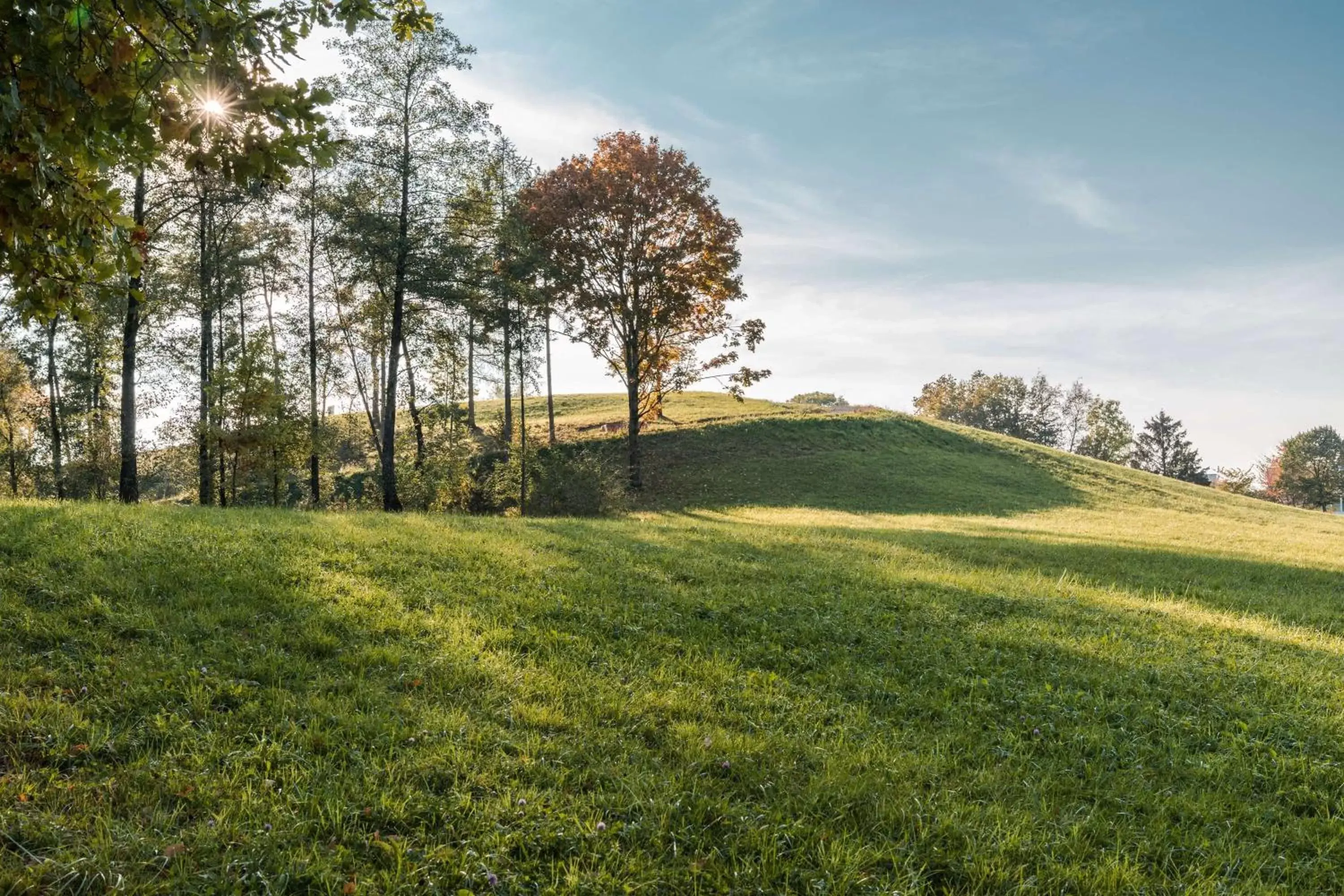 Nearby landmark in Hyatt Regency Zurich Airport Circle