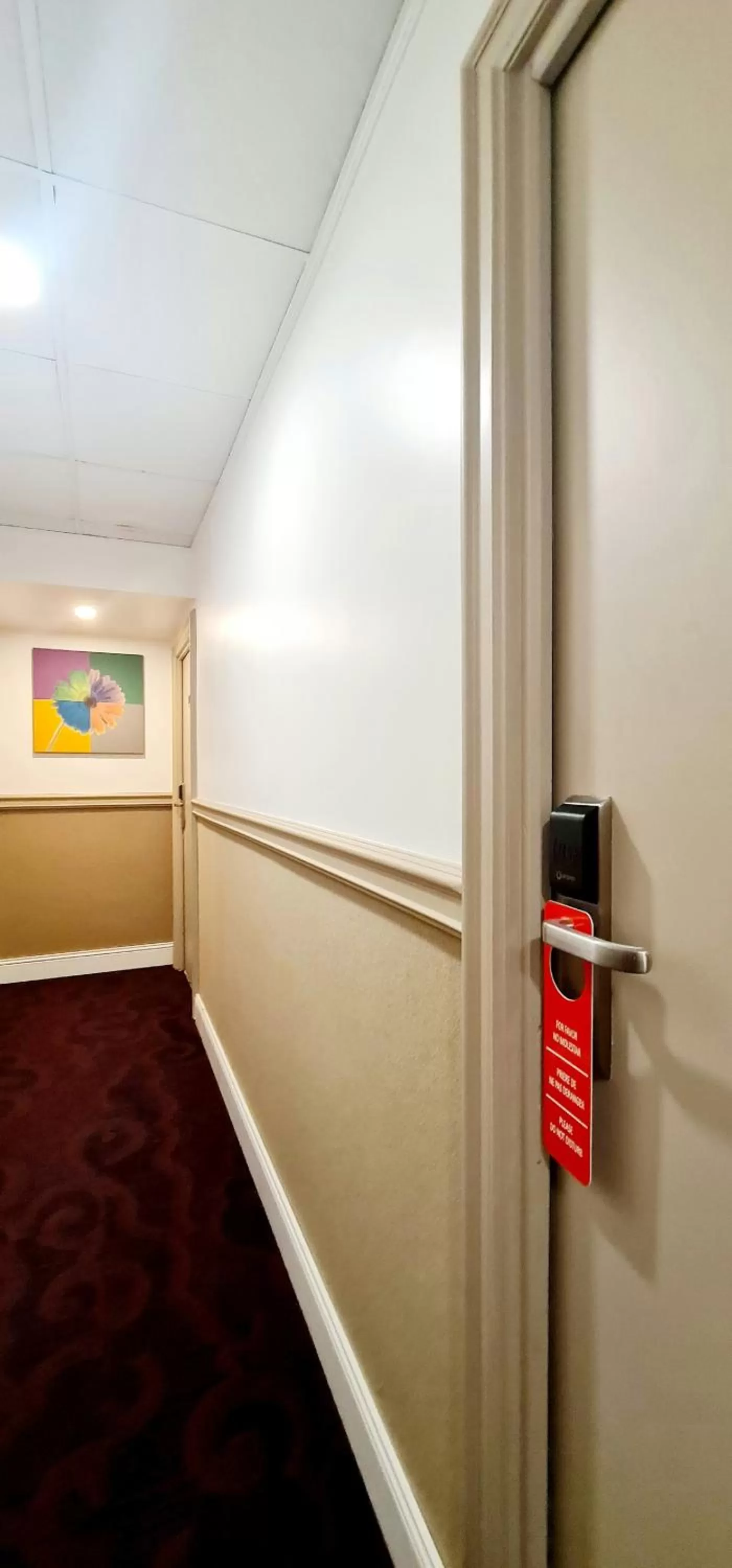 acessibility in Evelia Hotels