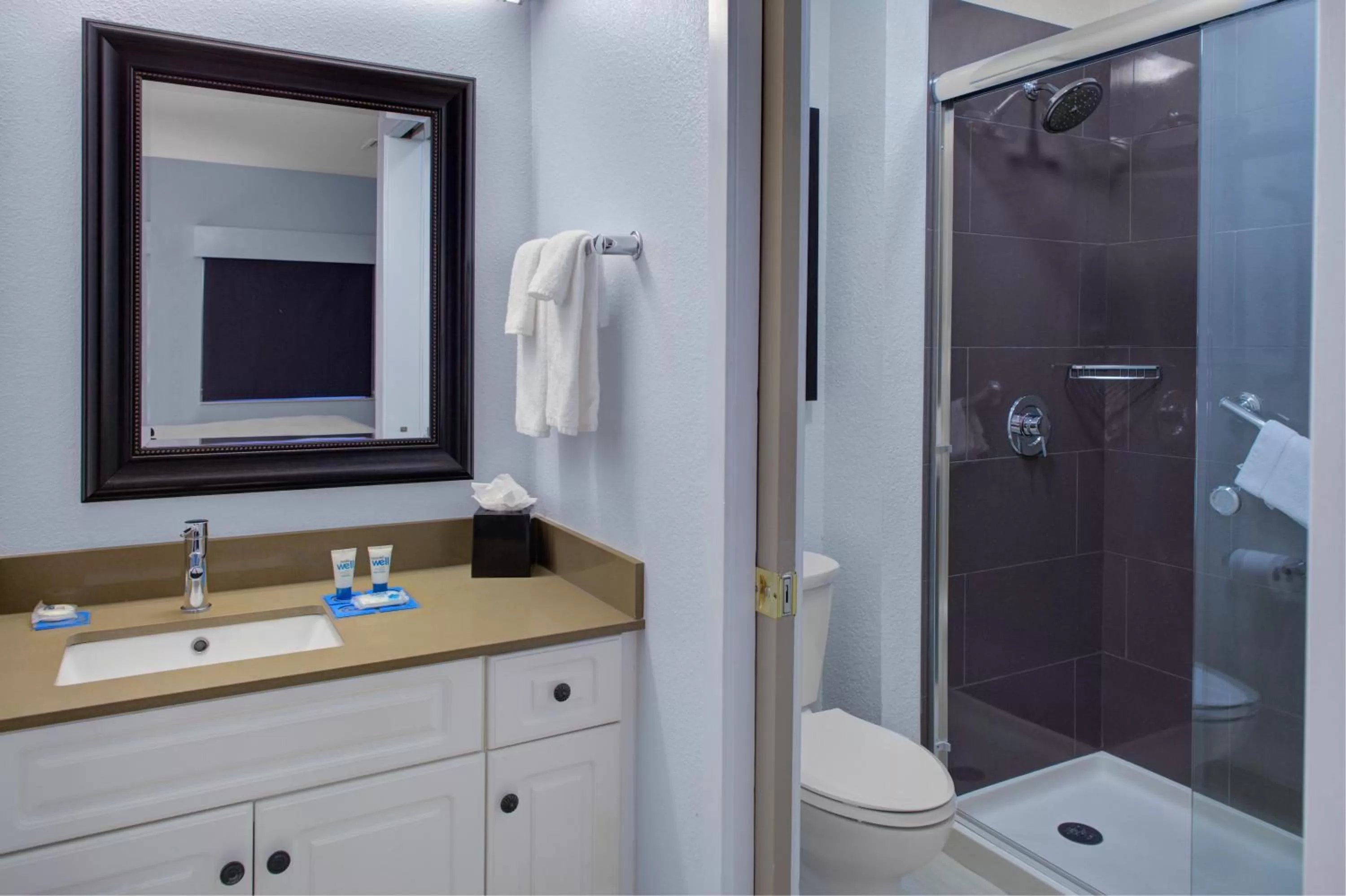 Queen Room with Accessible Tub - Disability Access in Hyatt House Philadelphia/Plymouth Meeting