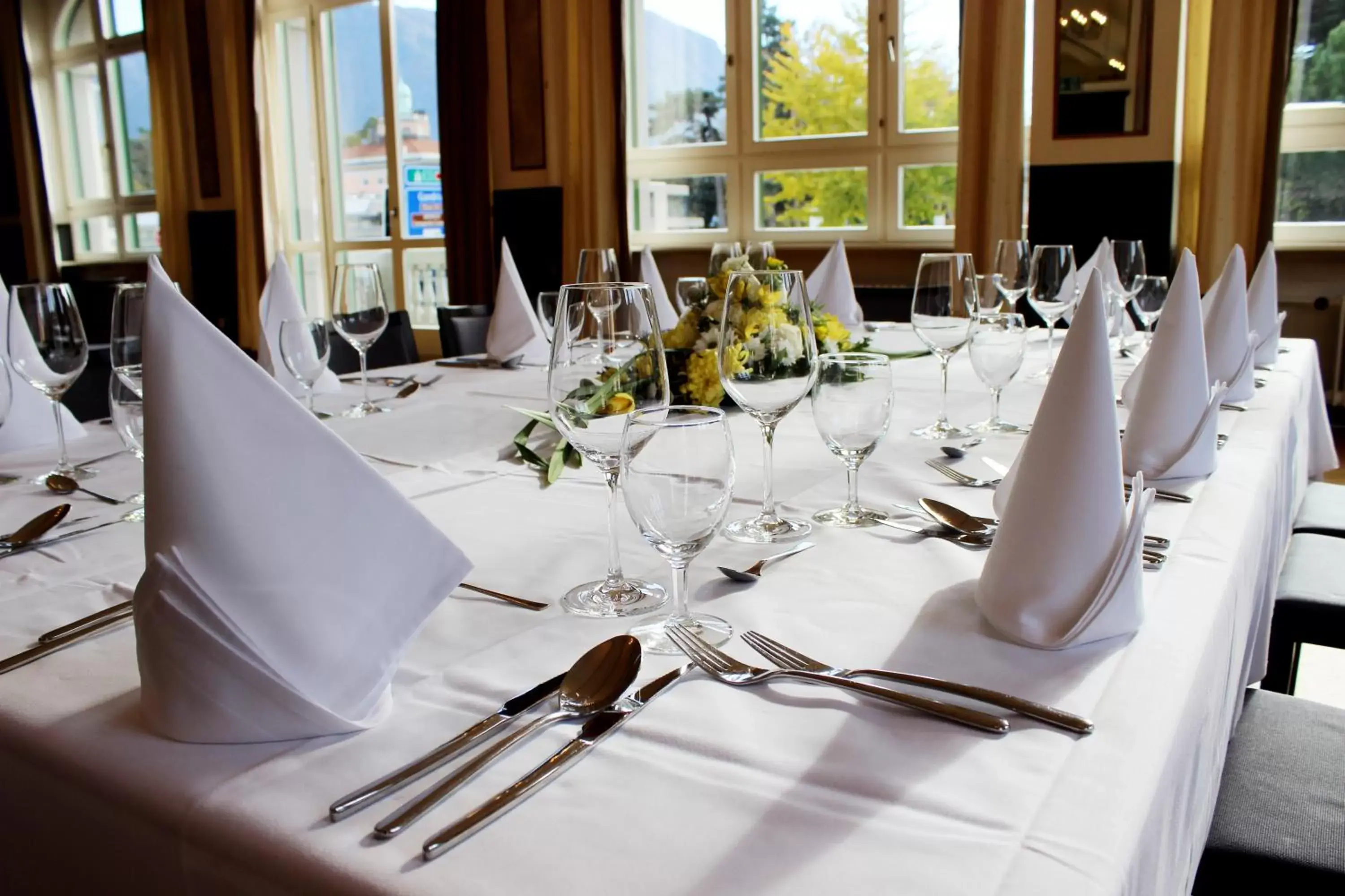 Banquet/Function facilities, Restaurant/Places to Eat in Hotel Pestalozzi Lugano