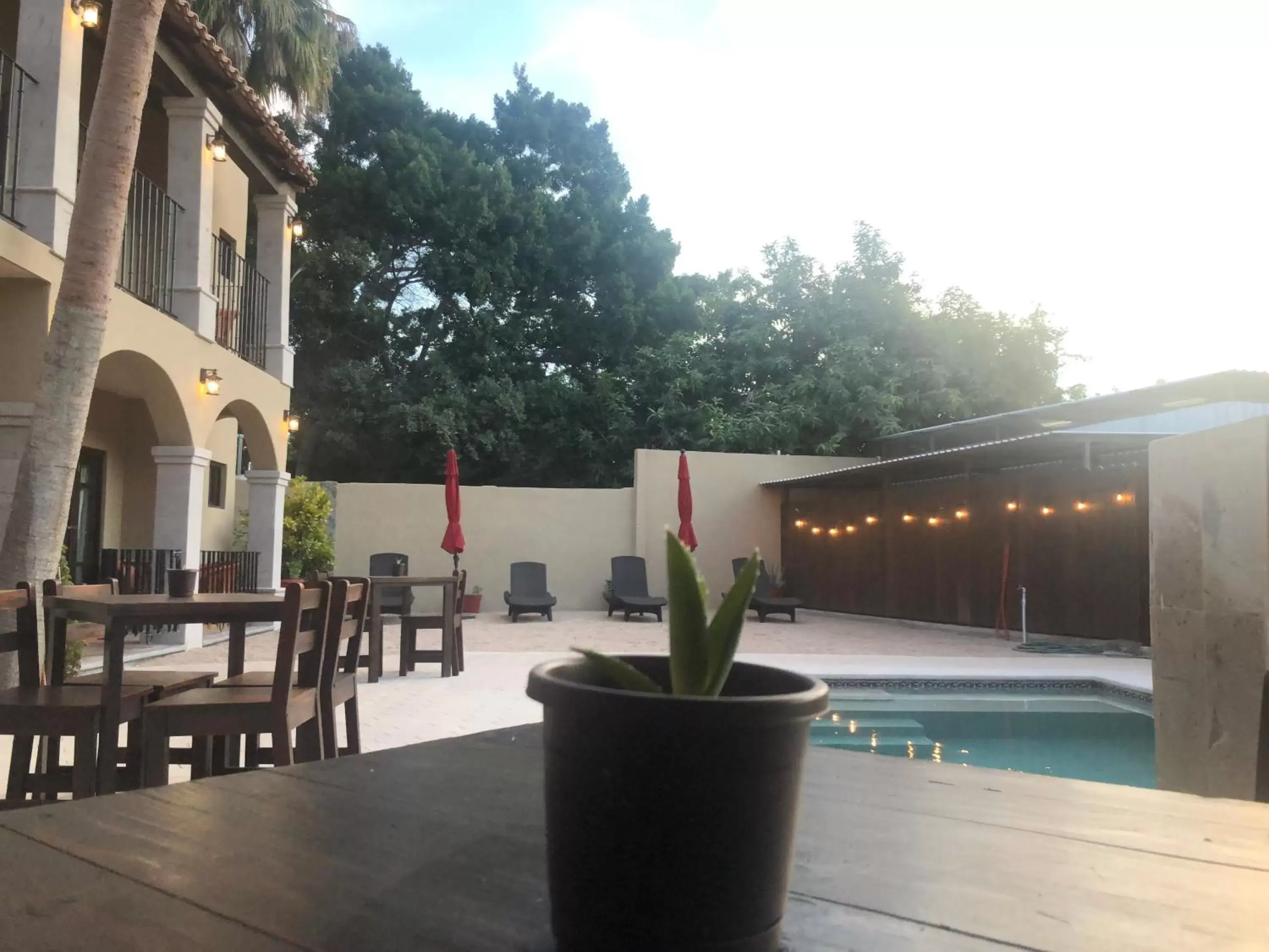 Swimming Pool in Hotel 1697 Loreto