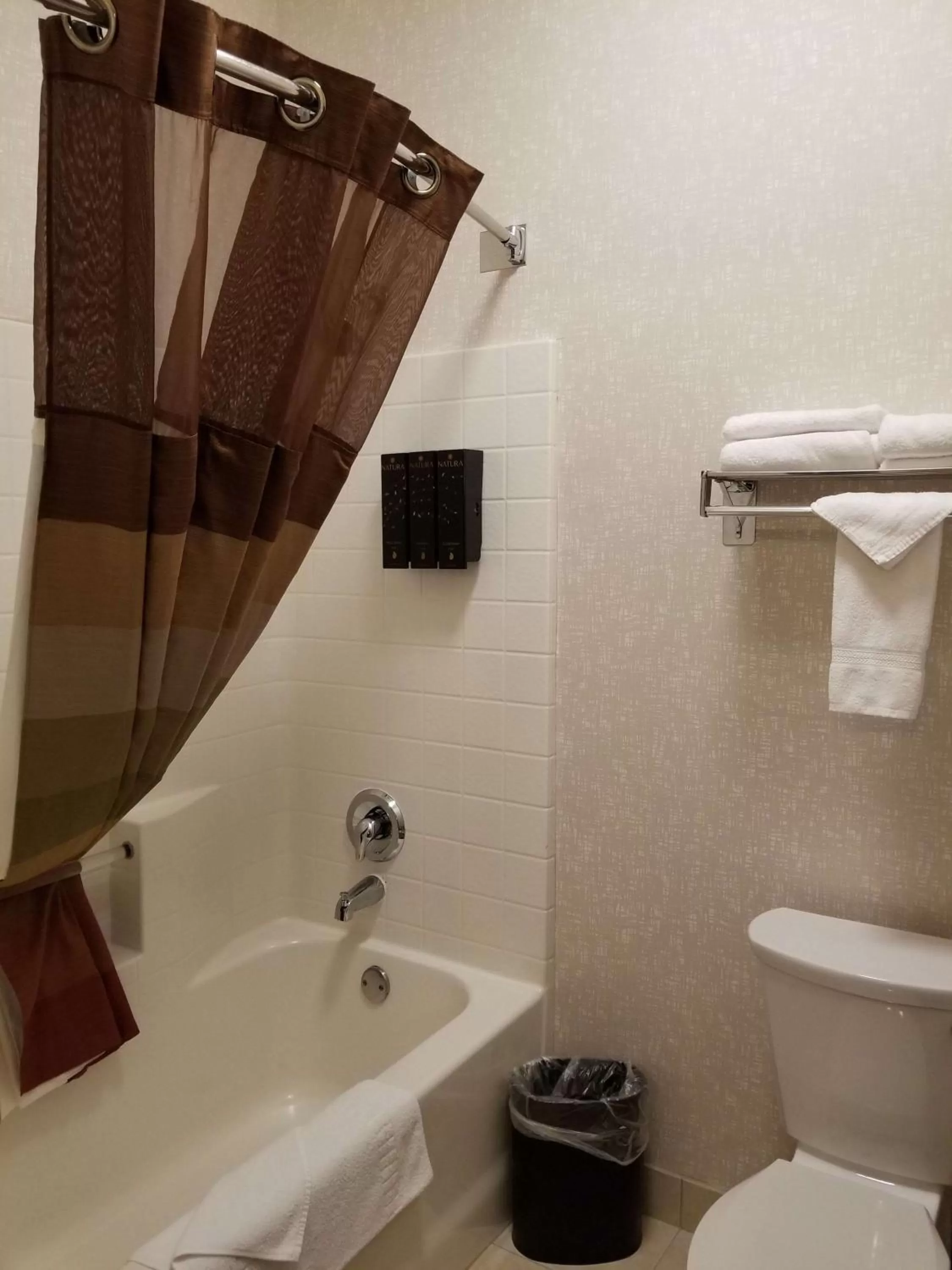 Bathroom in Best Western Plus Northwind Inn & Suites