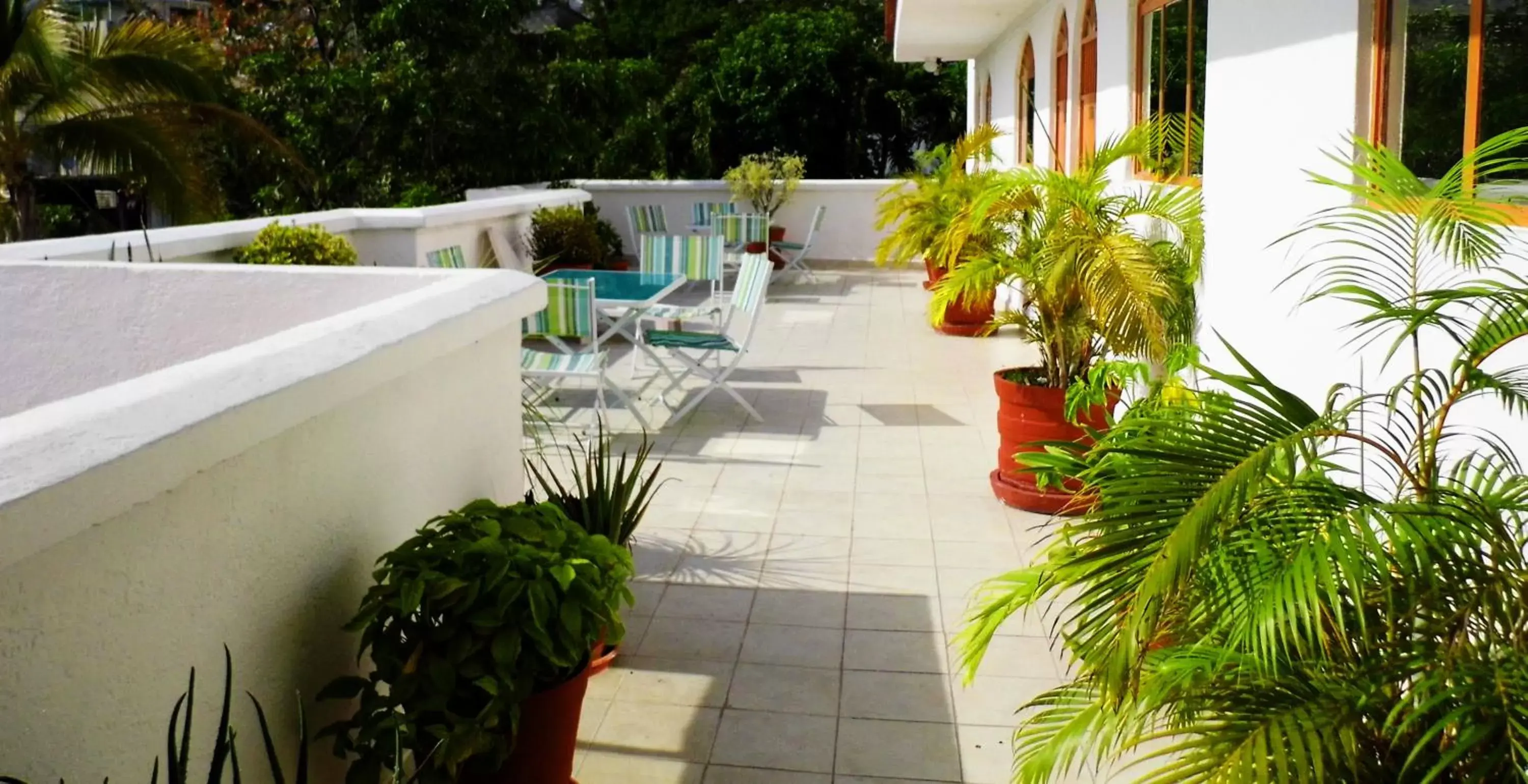 Balcony/Terrace, Swimming Pool in D'Cesar Hotel Acapulco