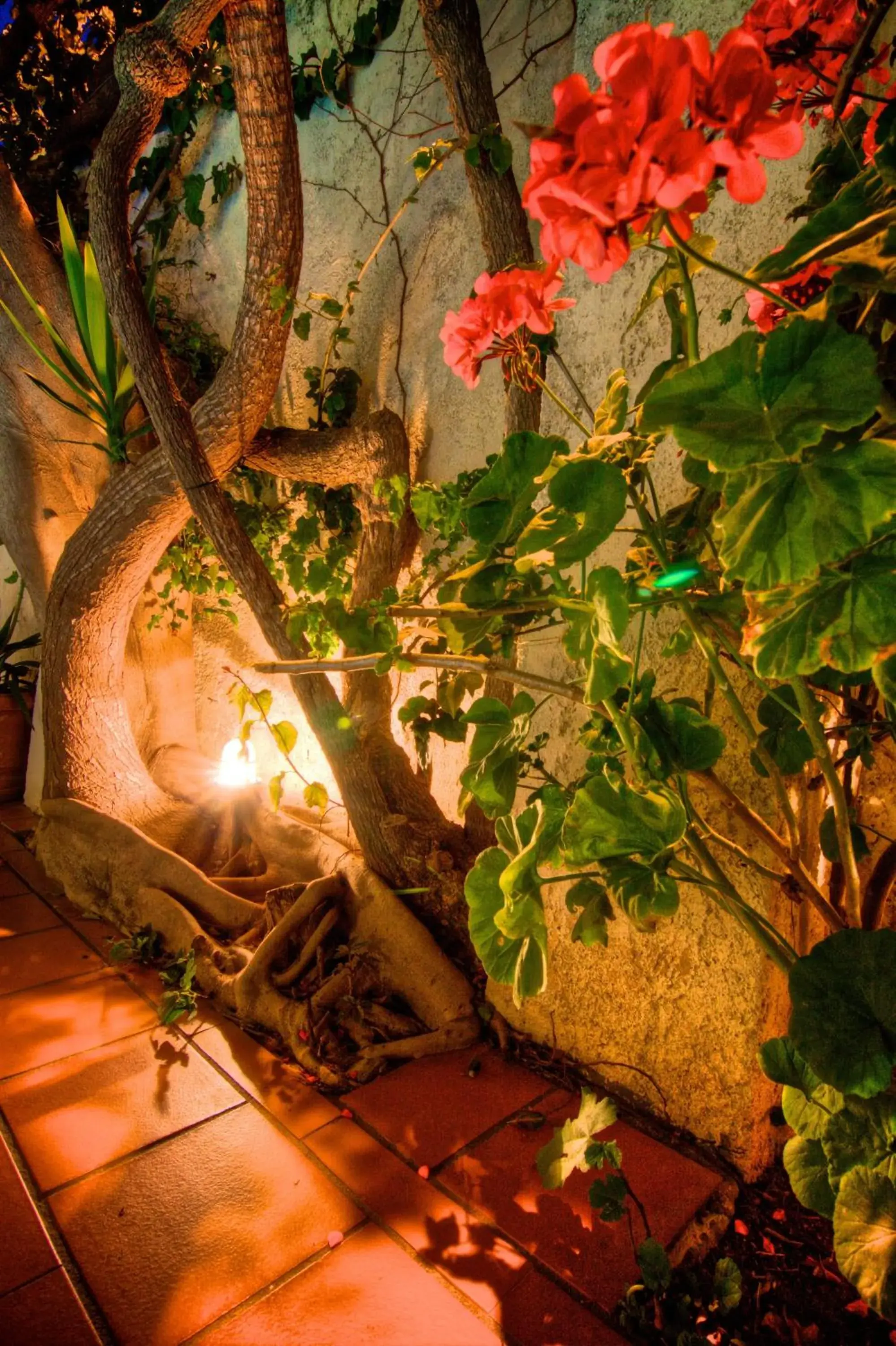 Decorative detail, Garden in Fortezza Hotel