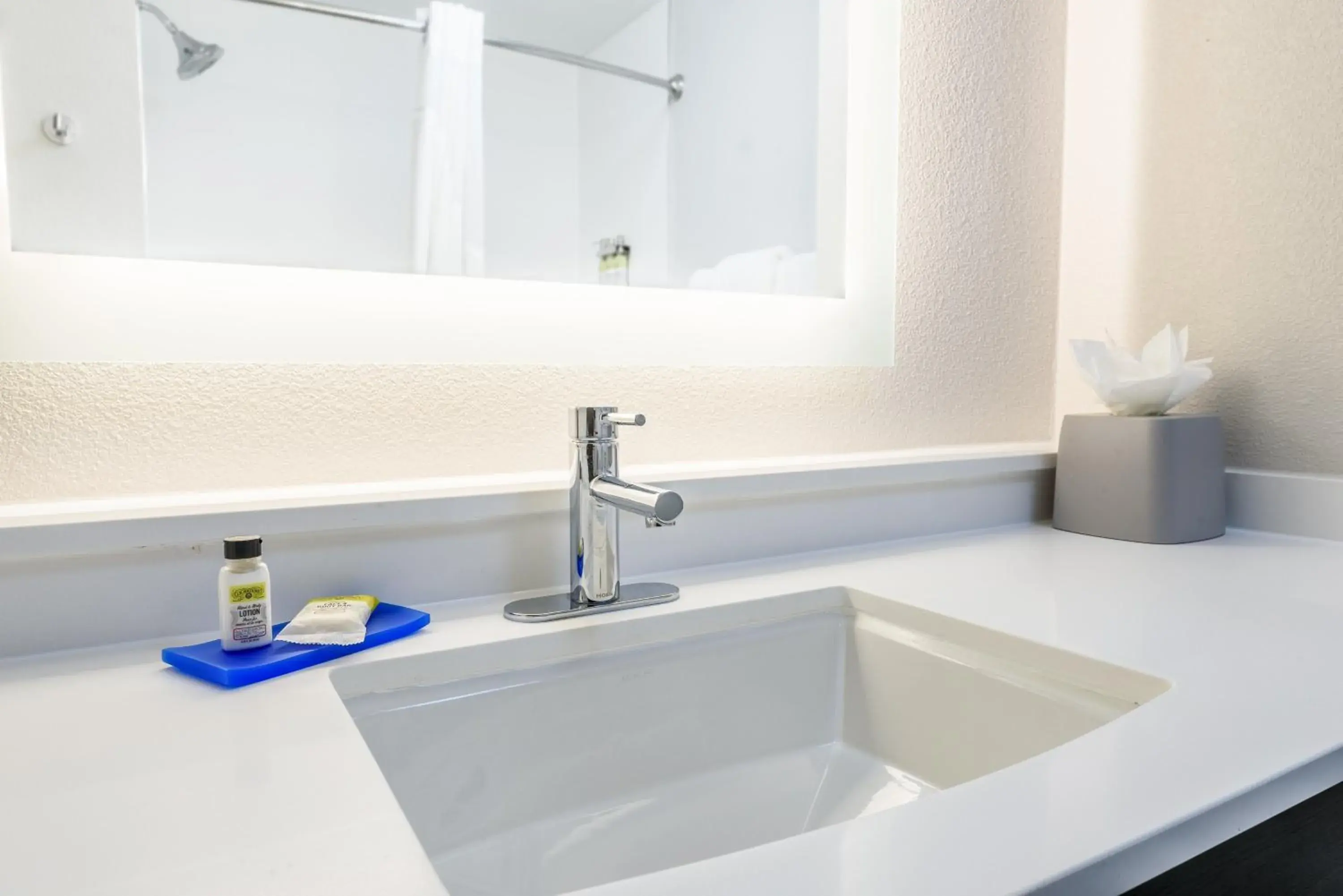 Bathroom in Holiday Inn Express Hotel and Suites Bastrop, an IHG Hotel