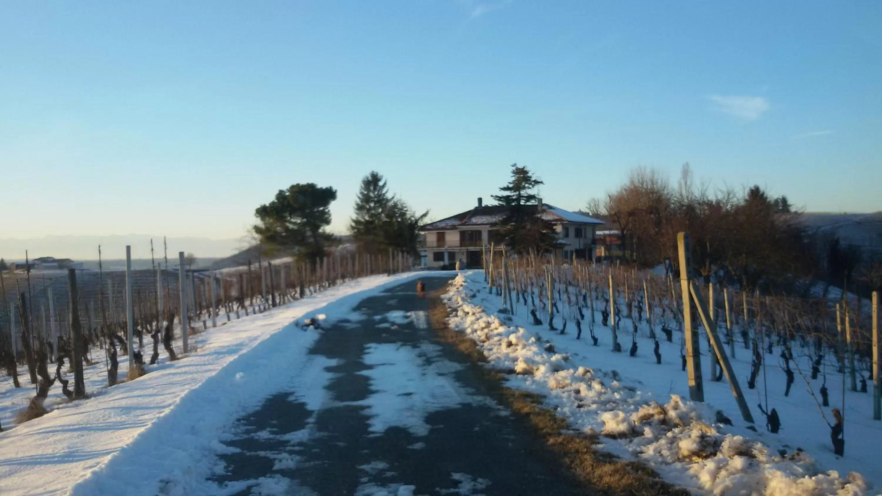 Other, Winter in Cascina Torello