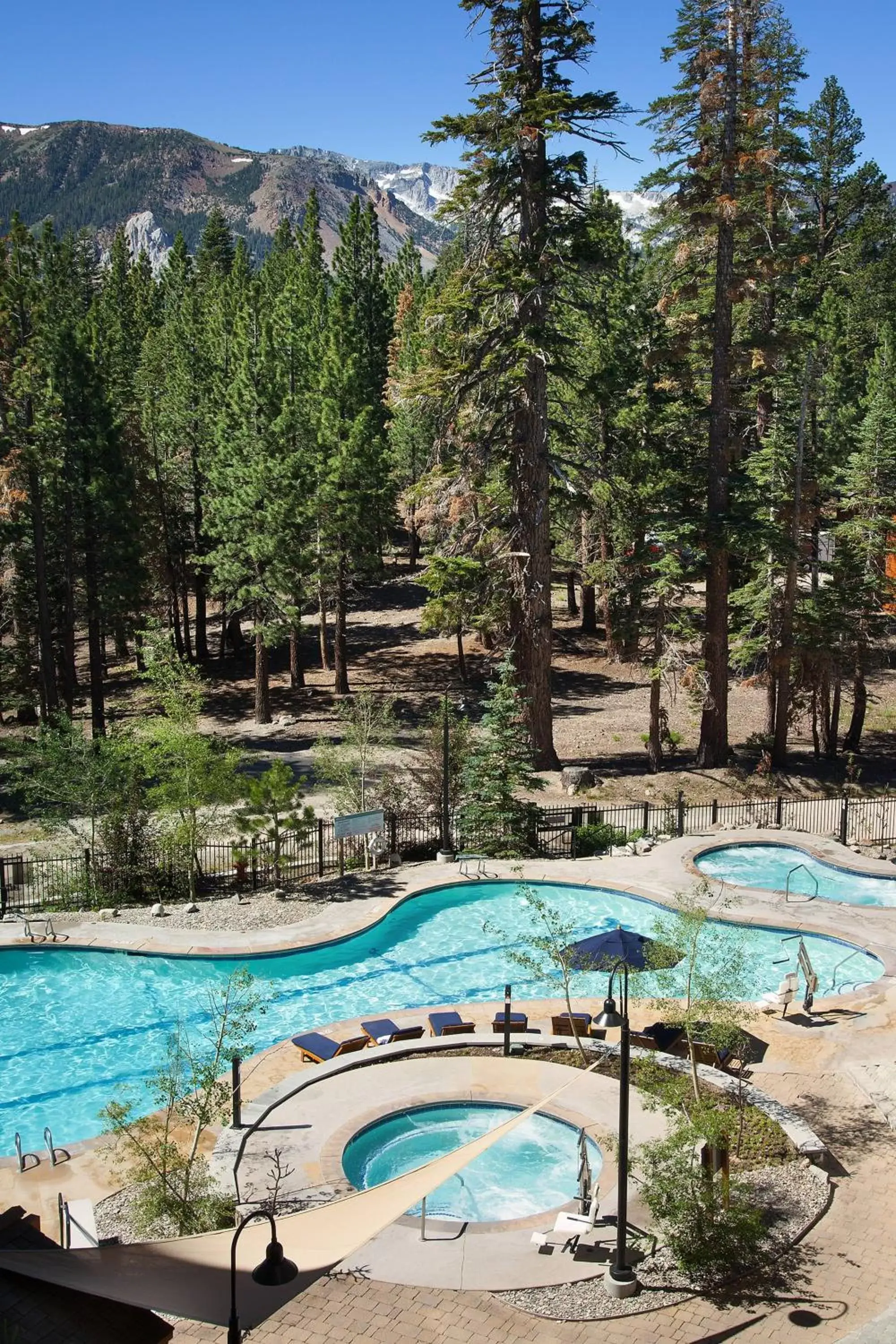 Swimming Pool in The Westin Monache Resort, Mammoth