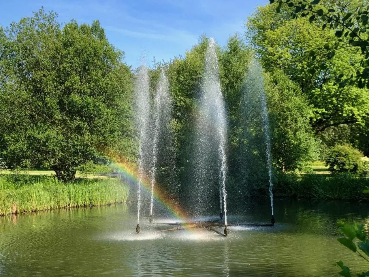 Natural landscape in Hotel Sonnenhügel