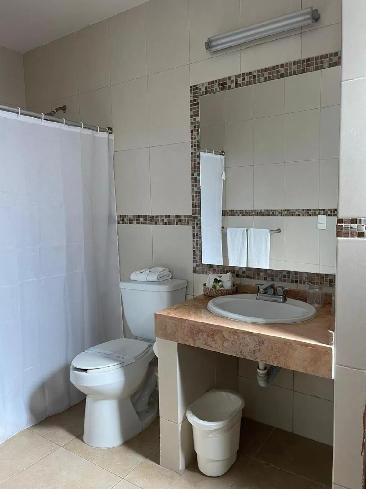 Toilet in Hotel Santo Domingo Express