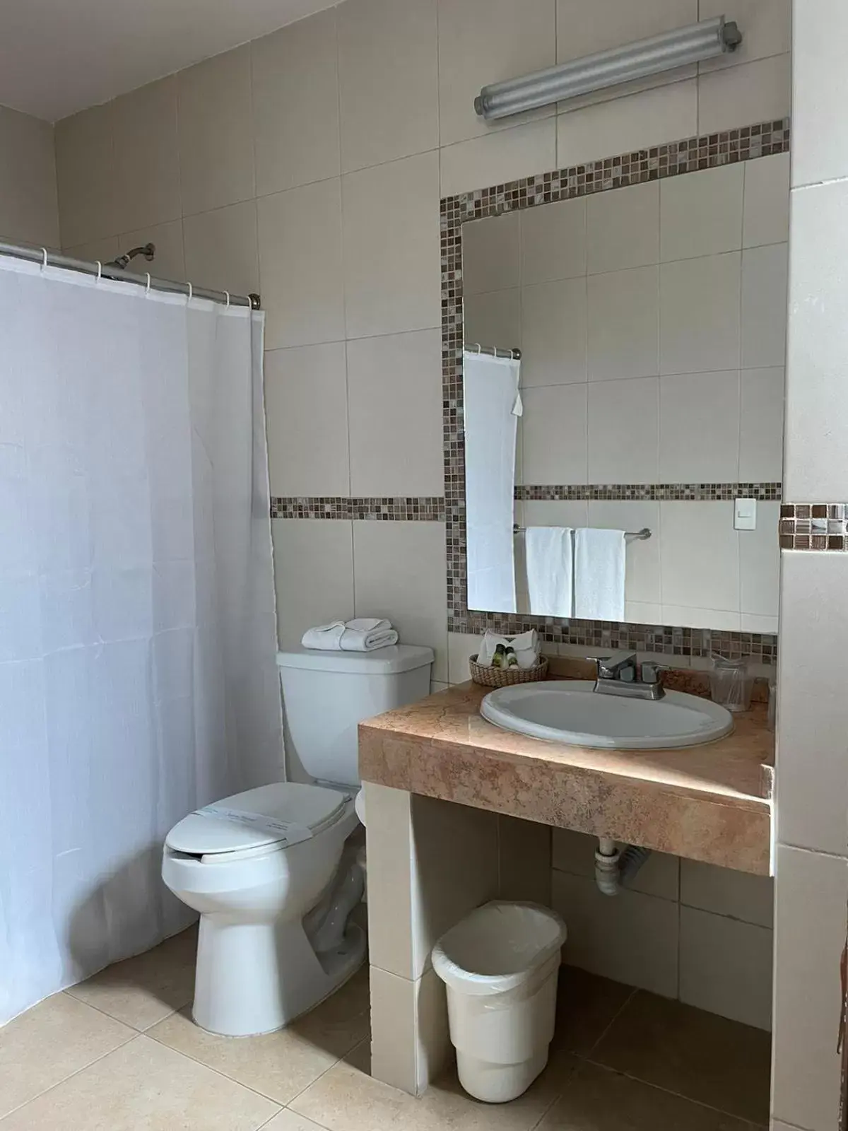 Toilet, Bathroom in Hotel Santo Domingo Express