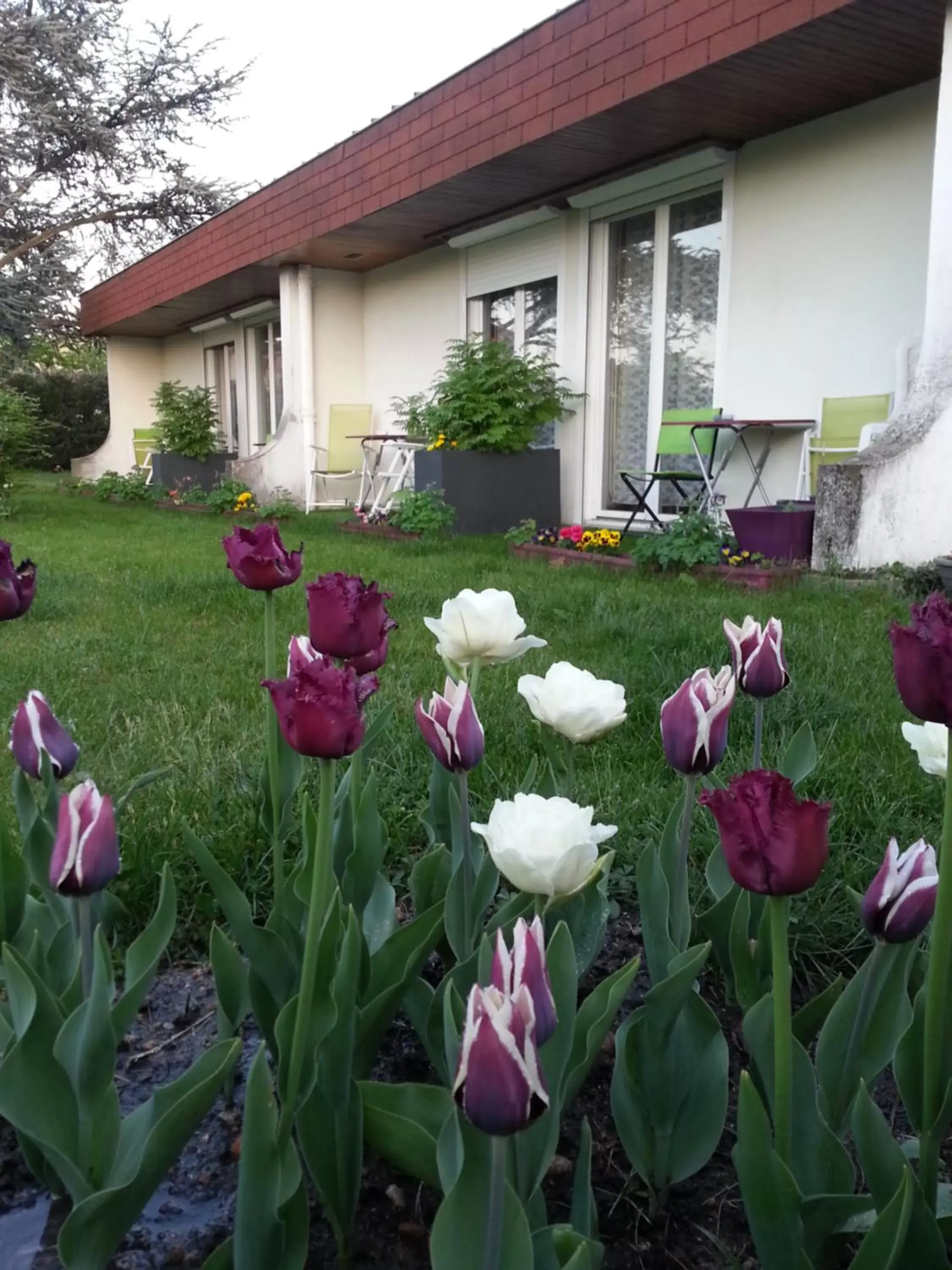 Garden view, Garden in Les Jardins du Forez