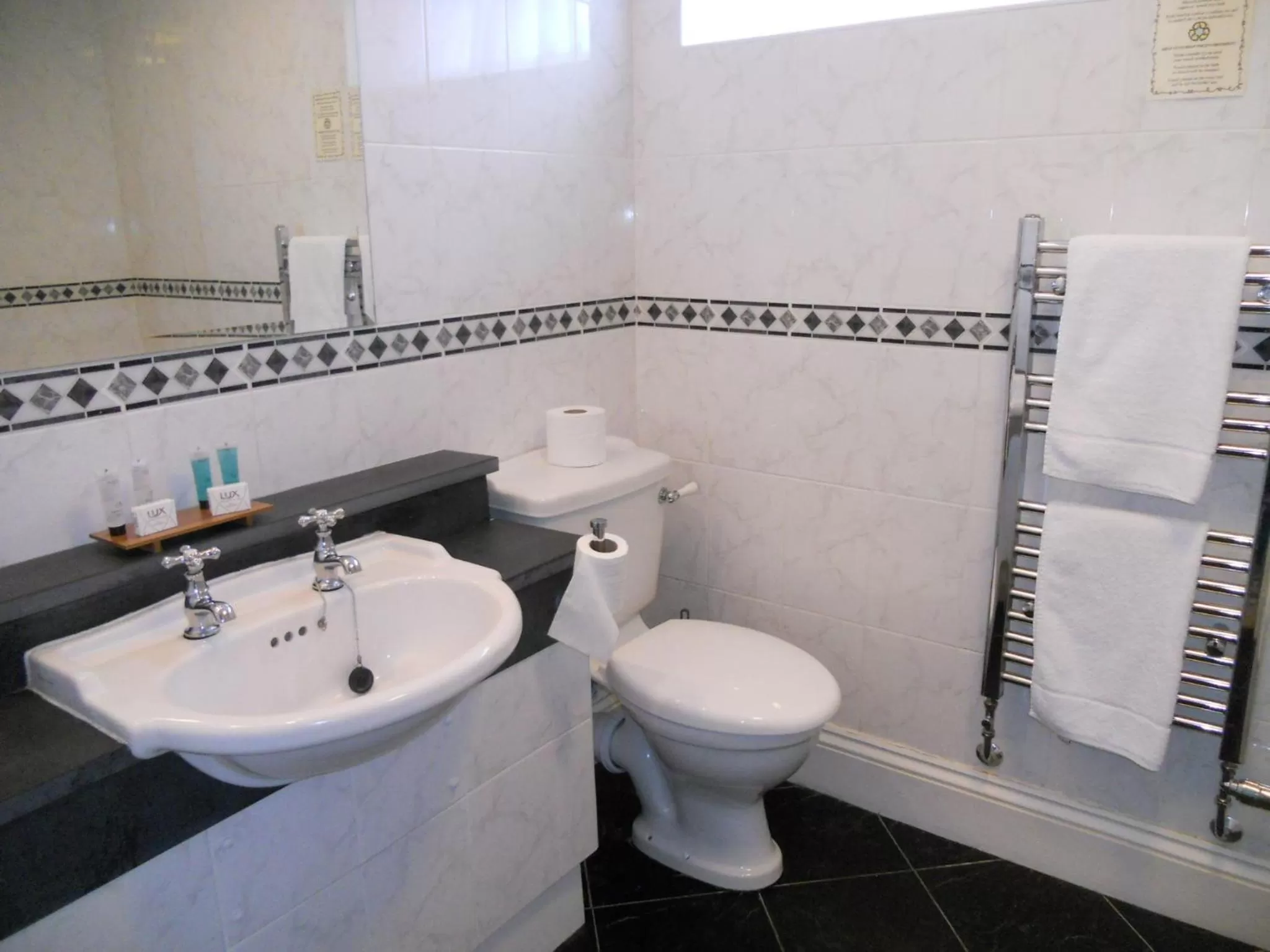 Toilet in Tynycornel Hotel