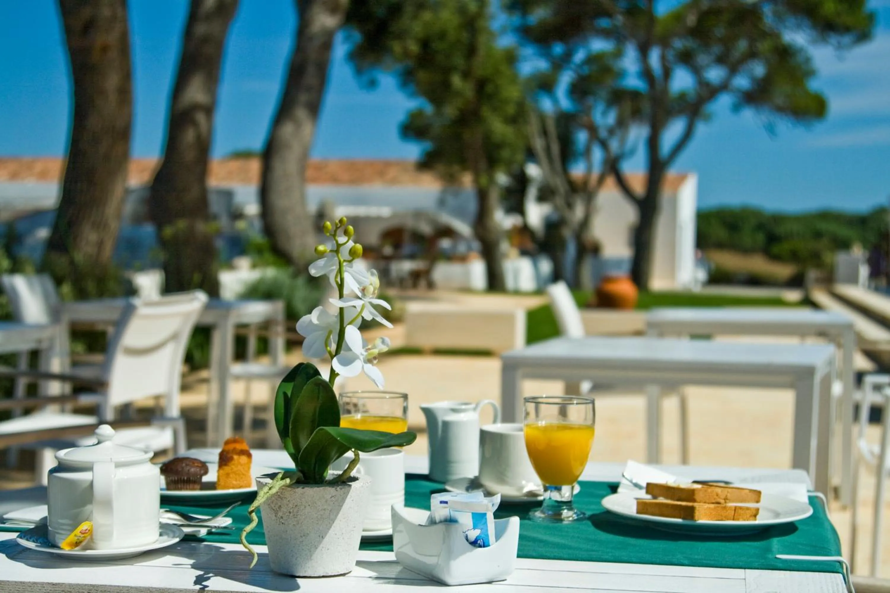 Restaurant/places to eat in Hotel Rural Binigaus Vell