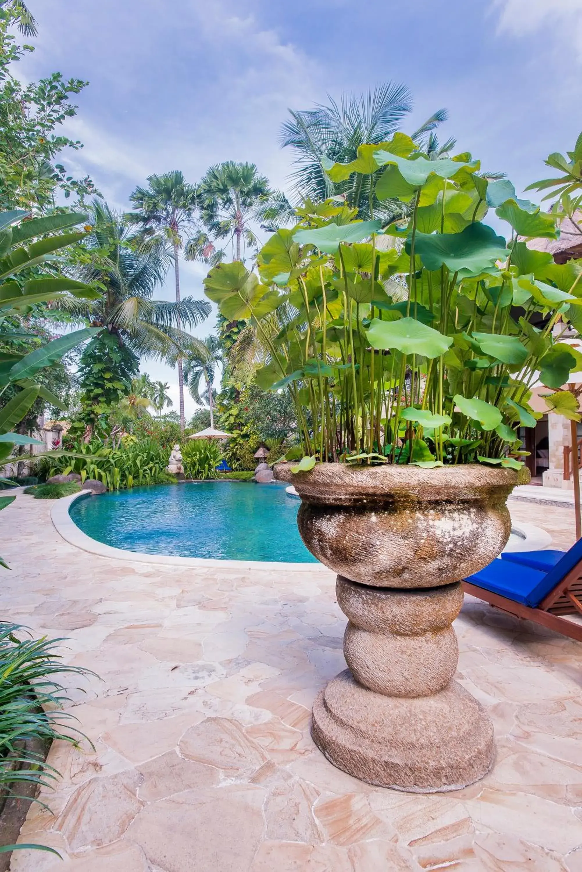 Pool view, Swimming Pool in Samhita Garden