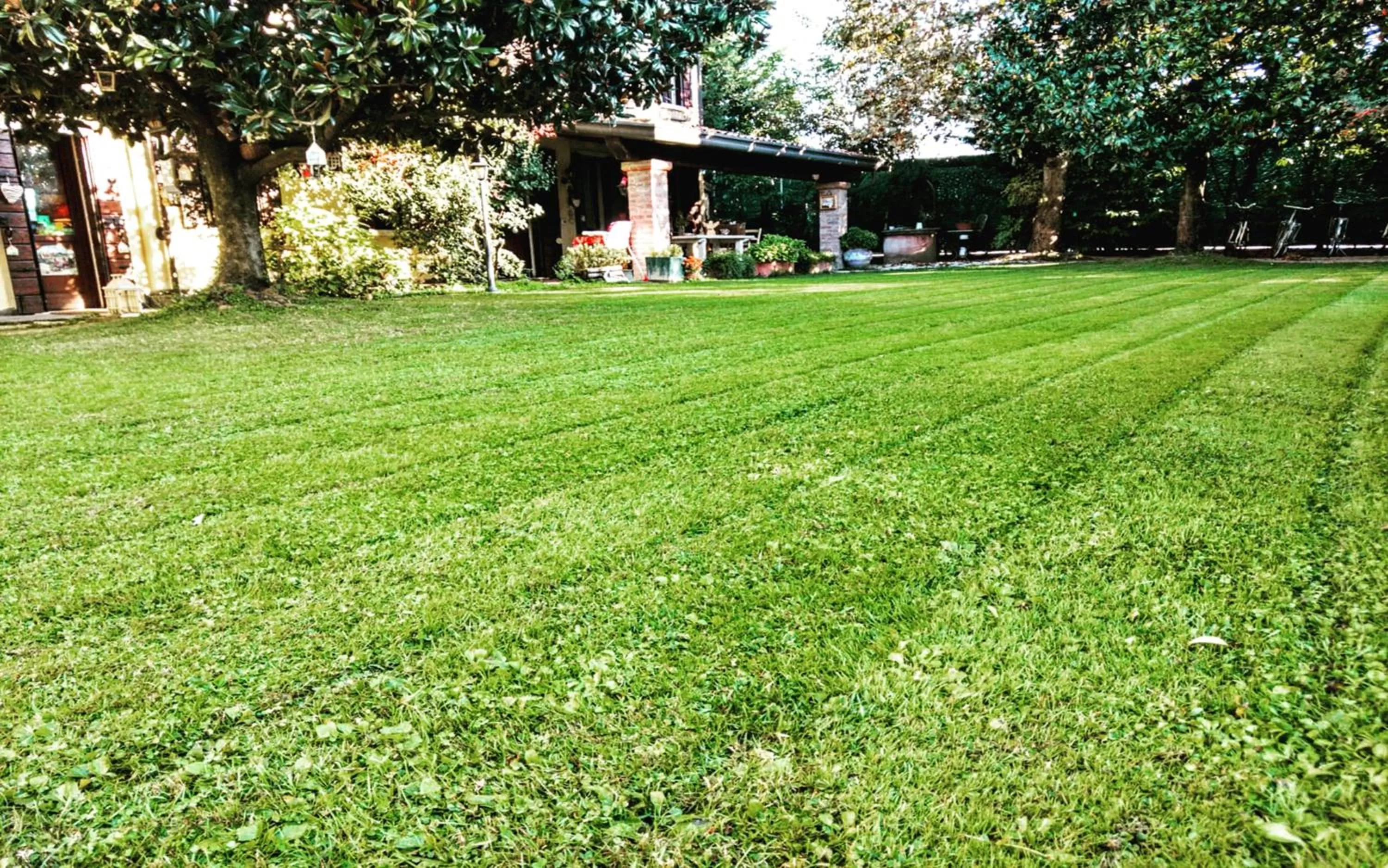 Garden in B&B Casa Camilla