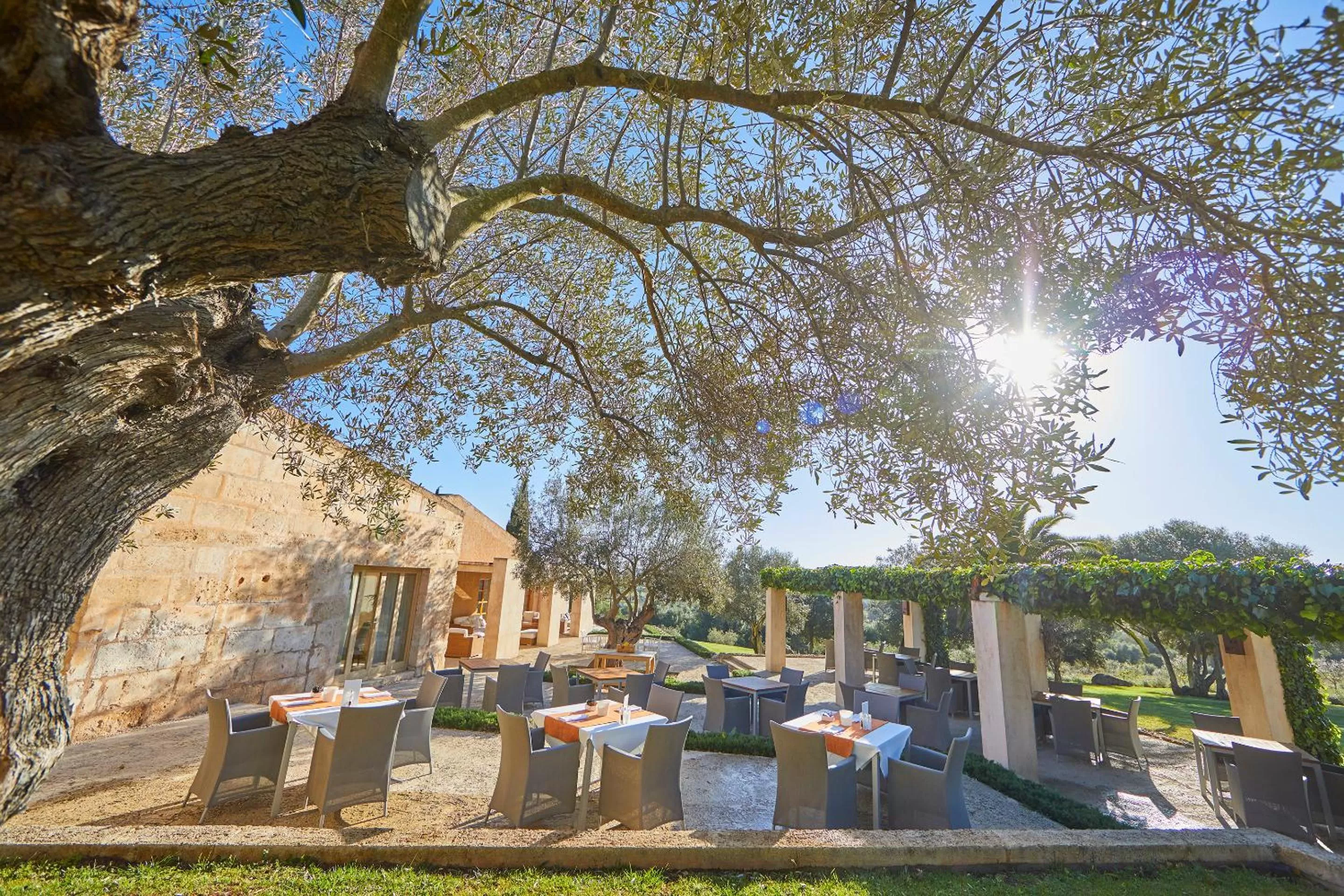 Restaurant/places to eat in Son Penya Adults Only Petit Hotel & Spa