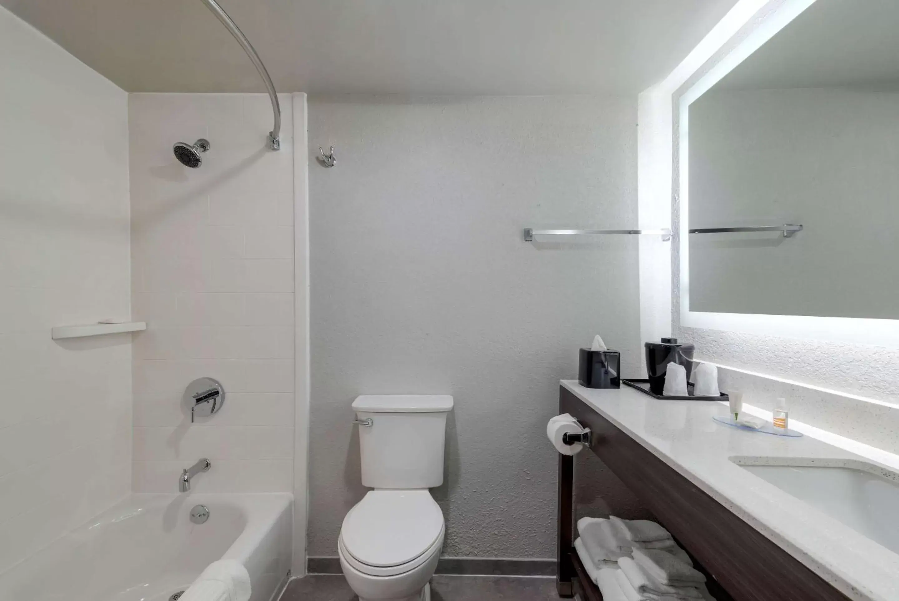 Photo of the whole room, Bathroom in Clarion Pointe McDonough
