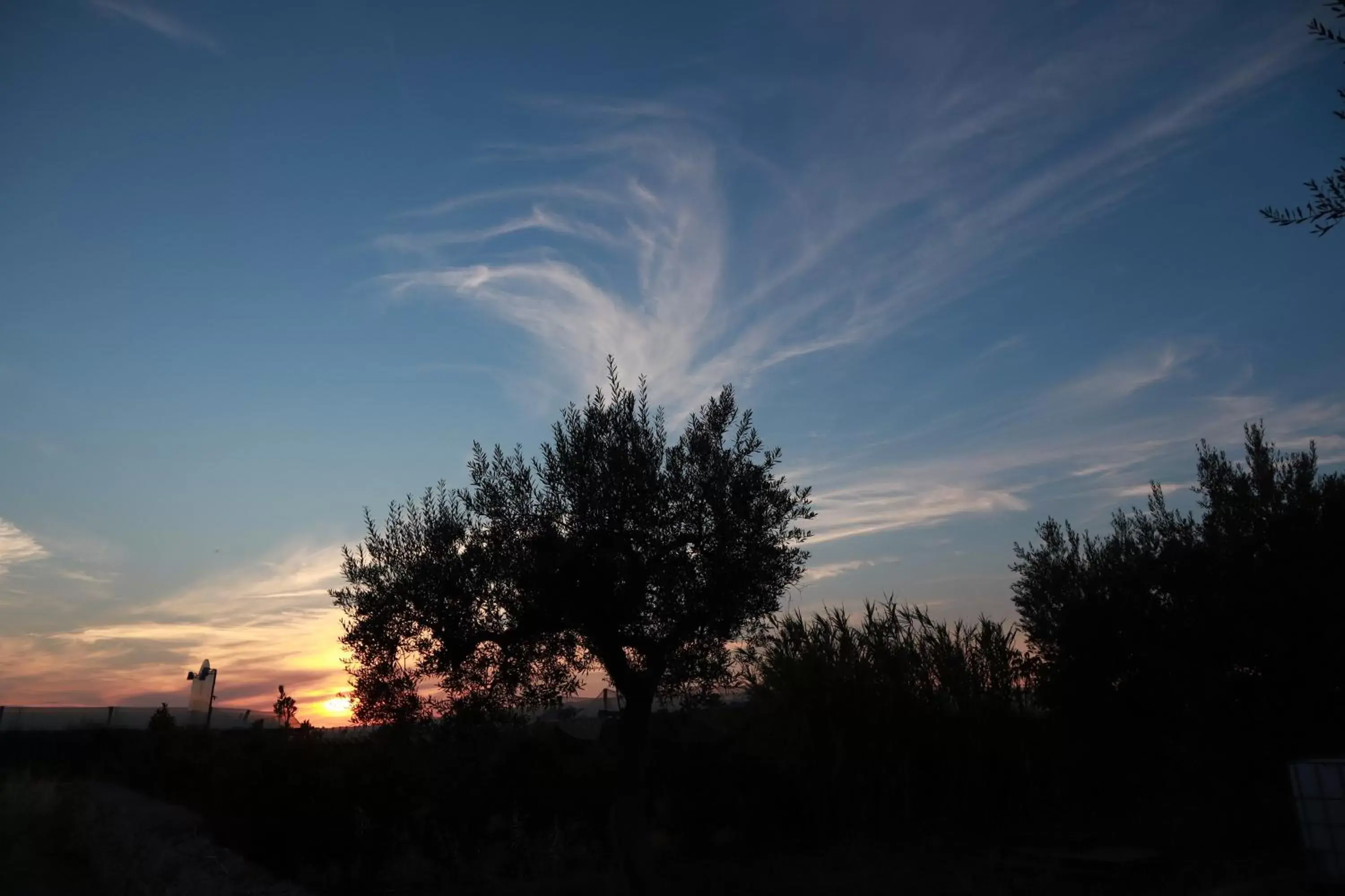 View (from property/room), Sunrise/Sunset in Agriturismo Masseria Alberotanza