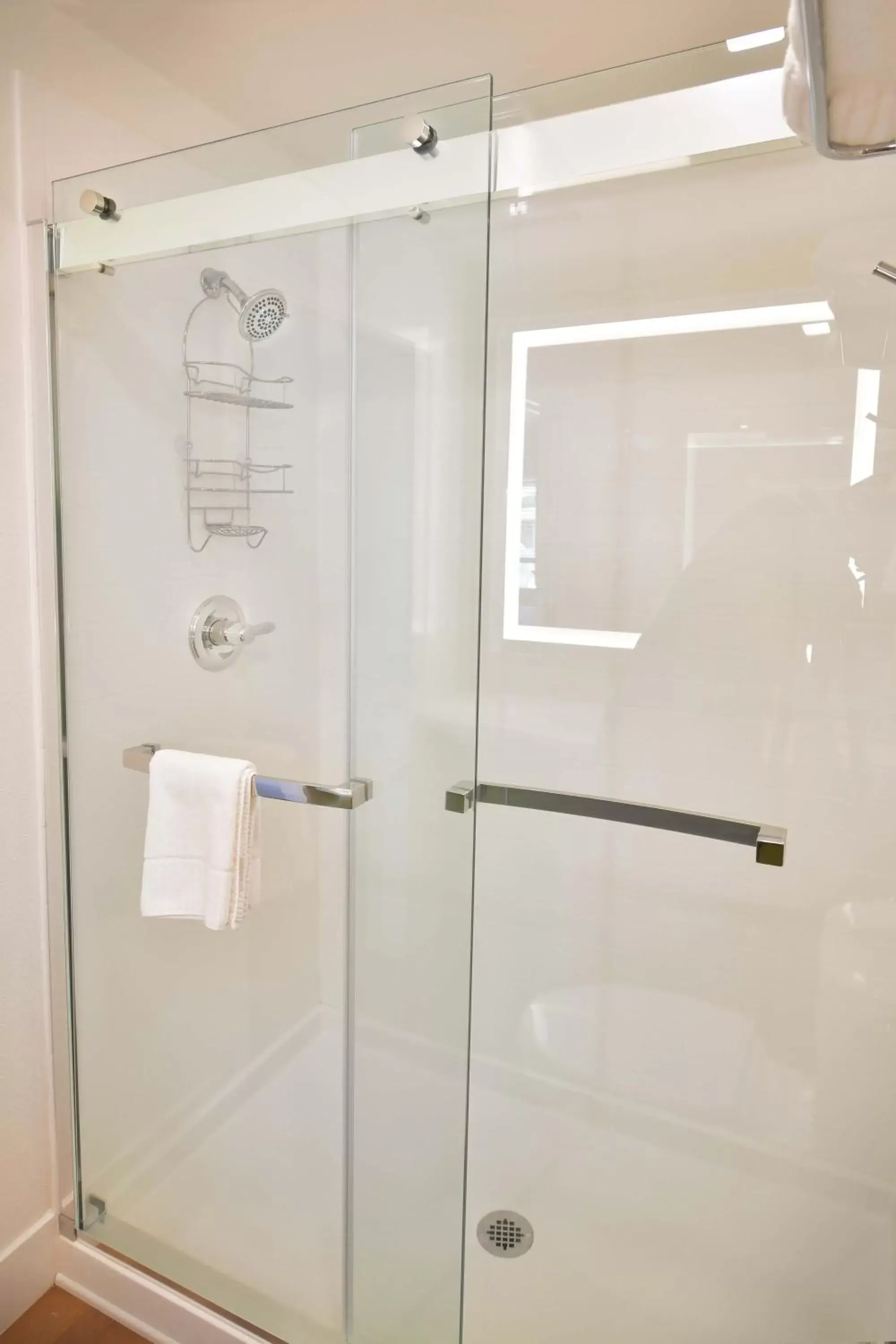 Shower, Bathroom in Foothills Motel
