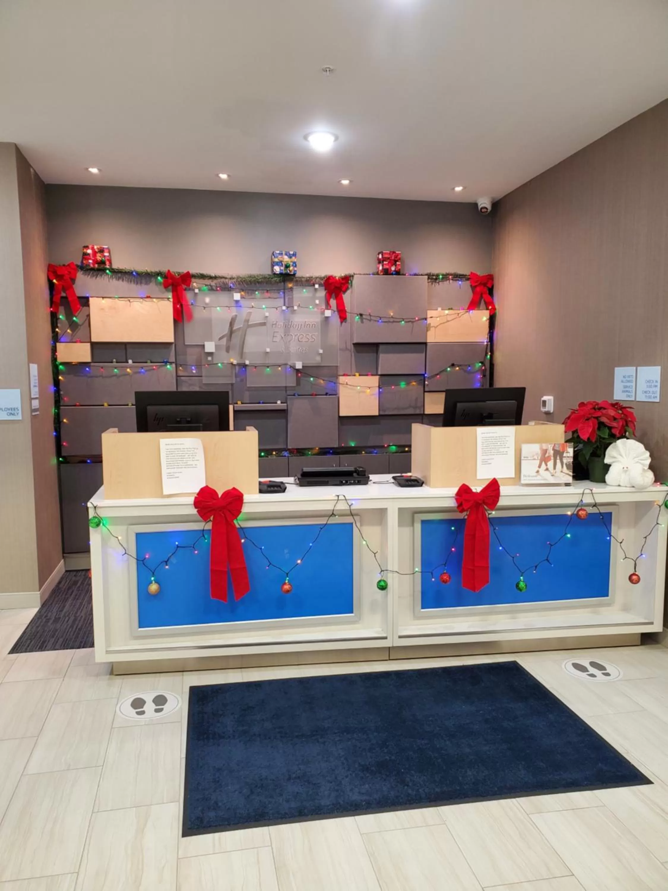 Decorative detail in Holiday Inn Express St. Augustine - Vilano Beach by IHG