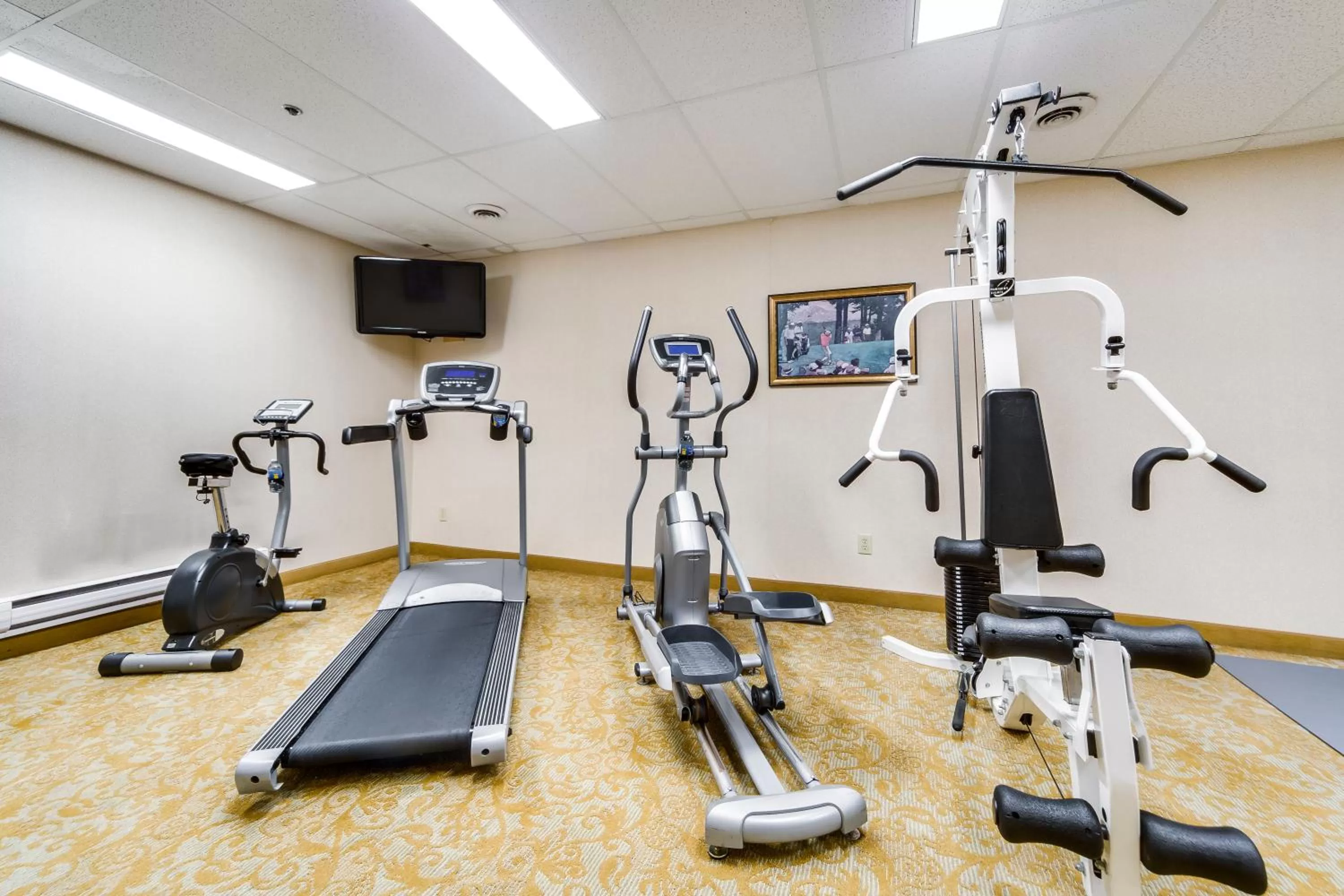 Fitness centre/facilities in Monte Carlo Inn Brampton