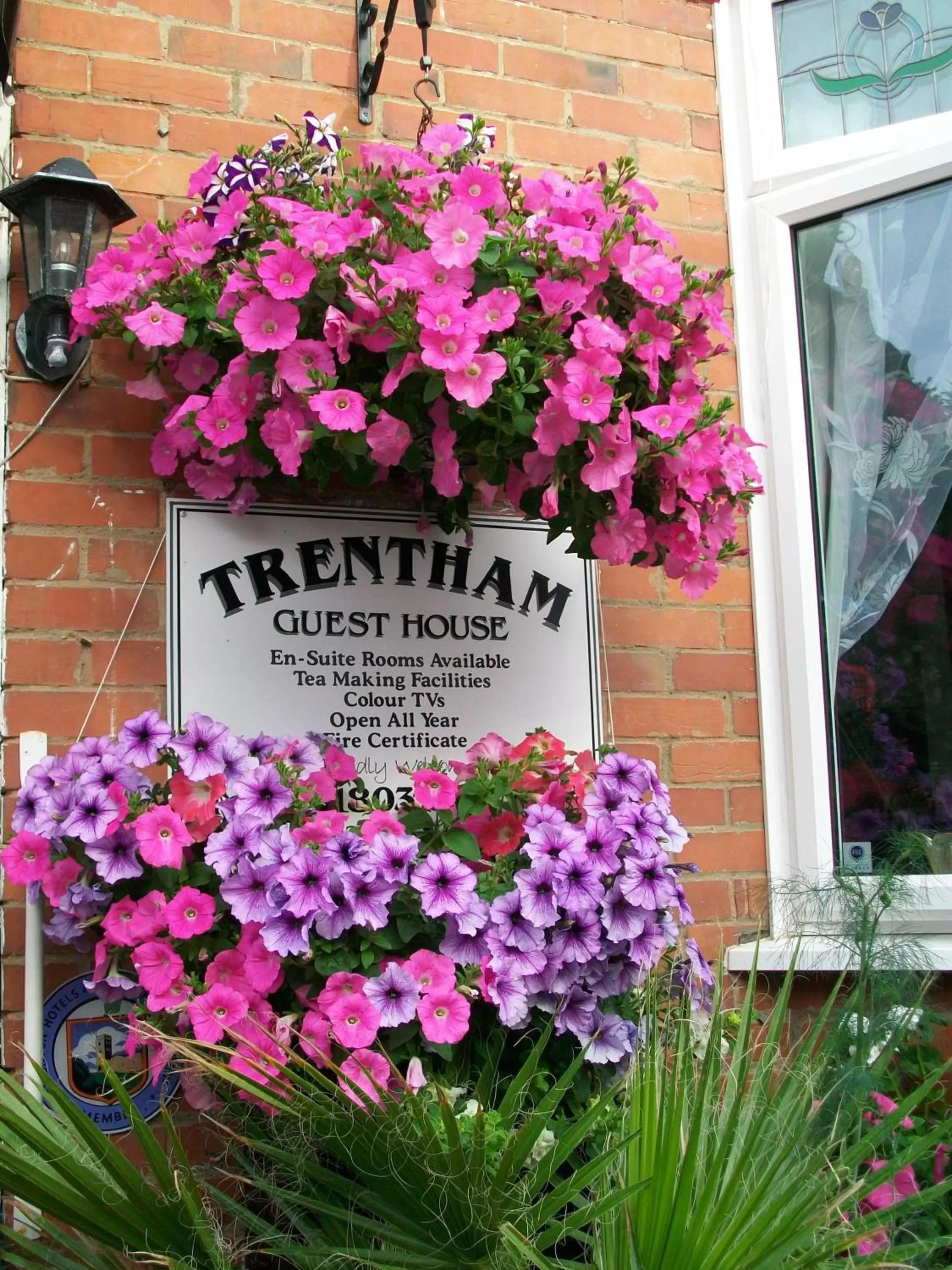 Garden in Trentham House