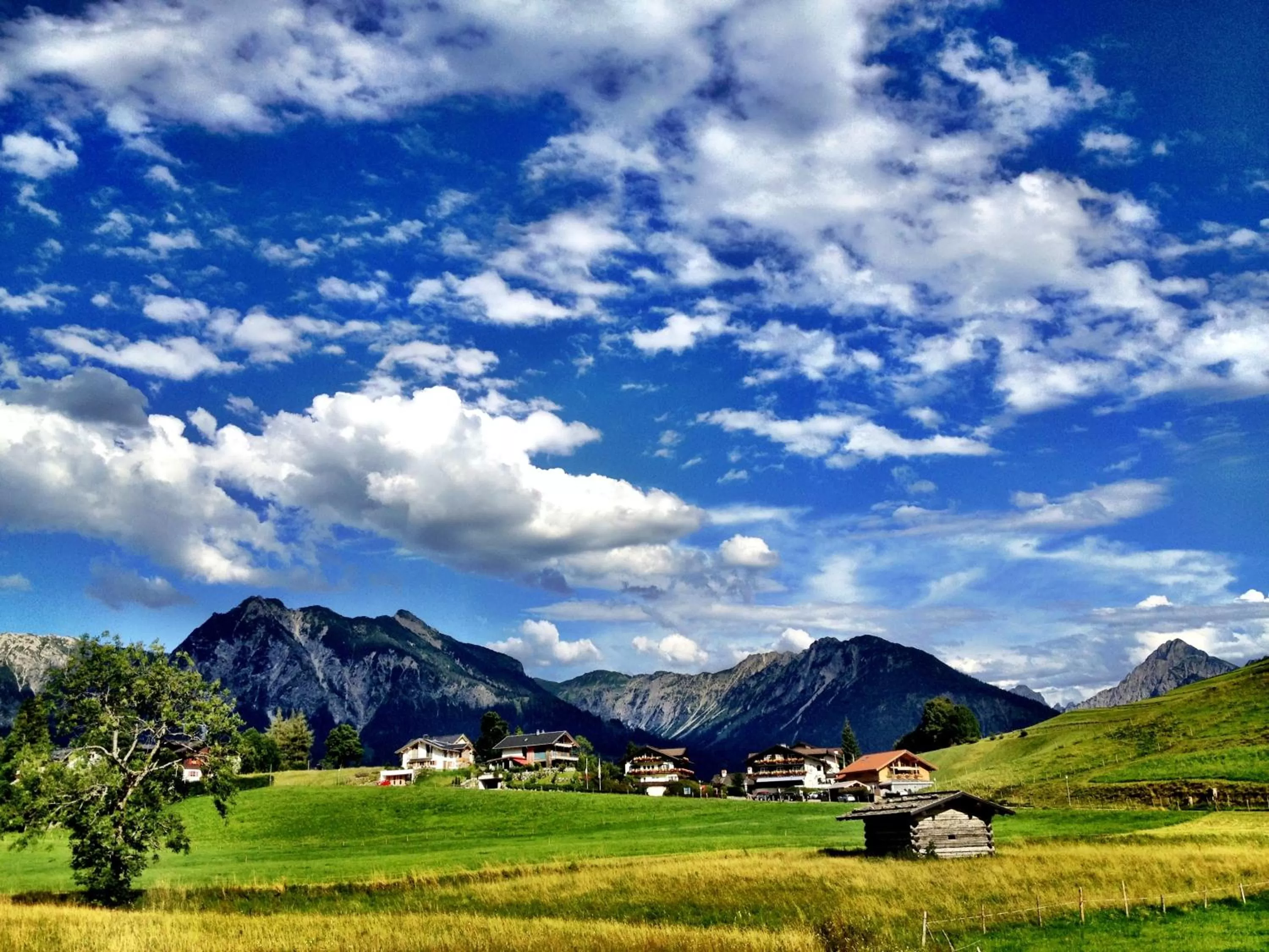 Area and facilities in Hotel Bergruh