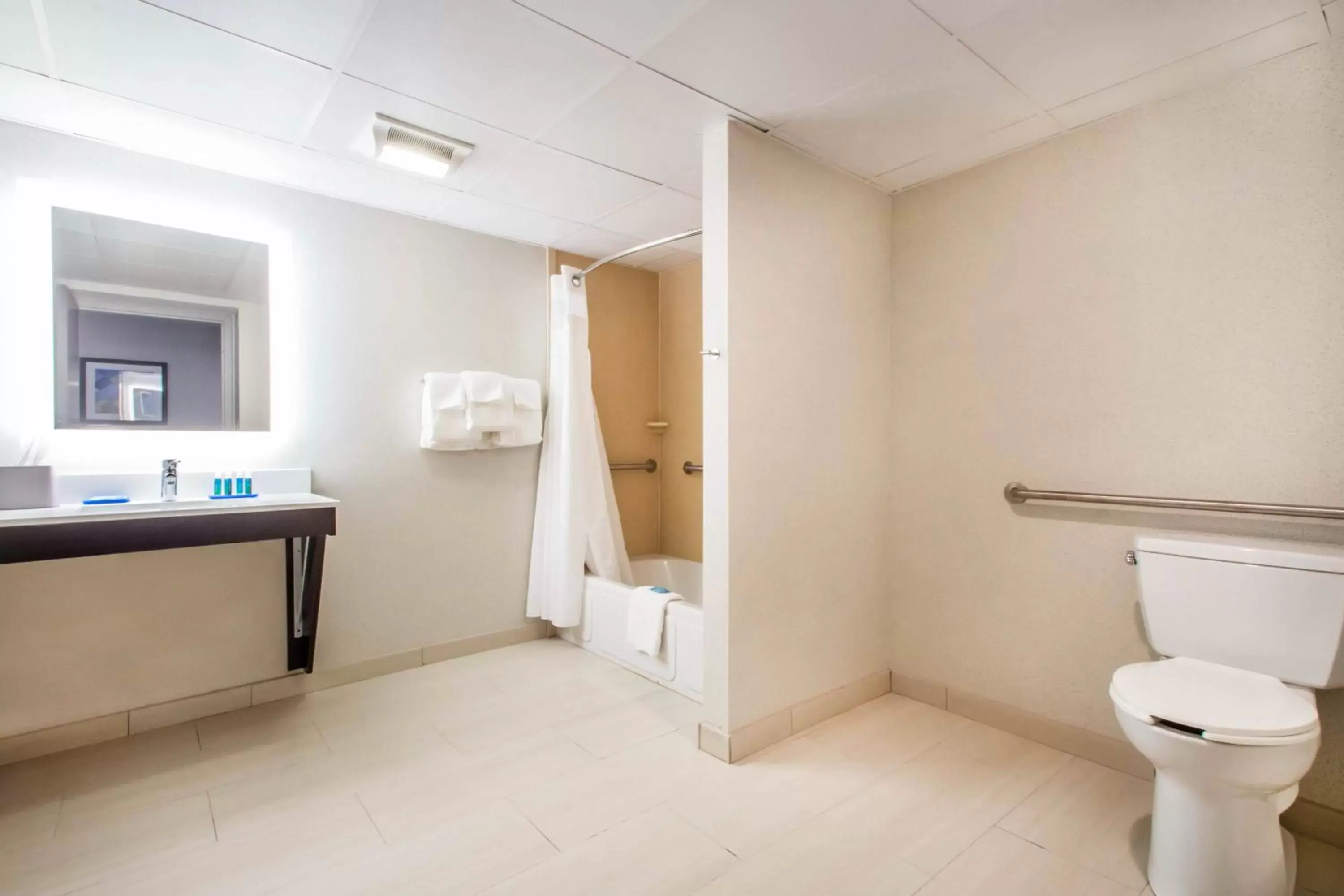 Bathroom in Holiday Inn Express & Suites - Albany Airport - Wolf Road, an IHG Hotel